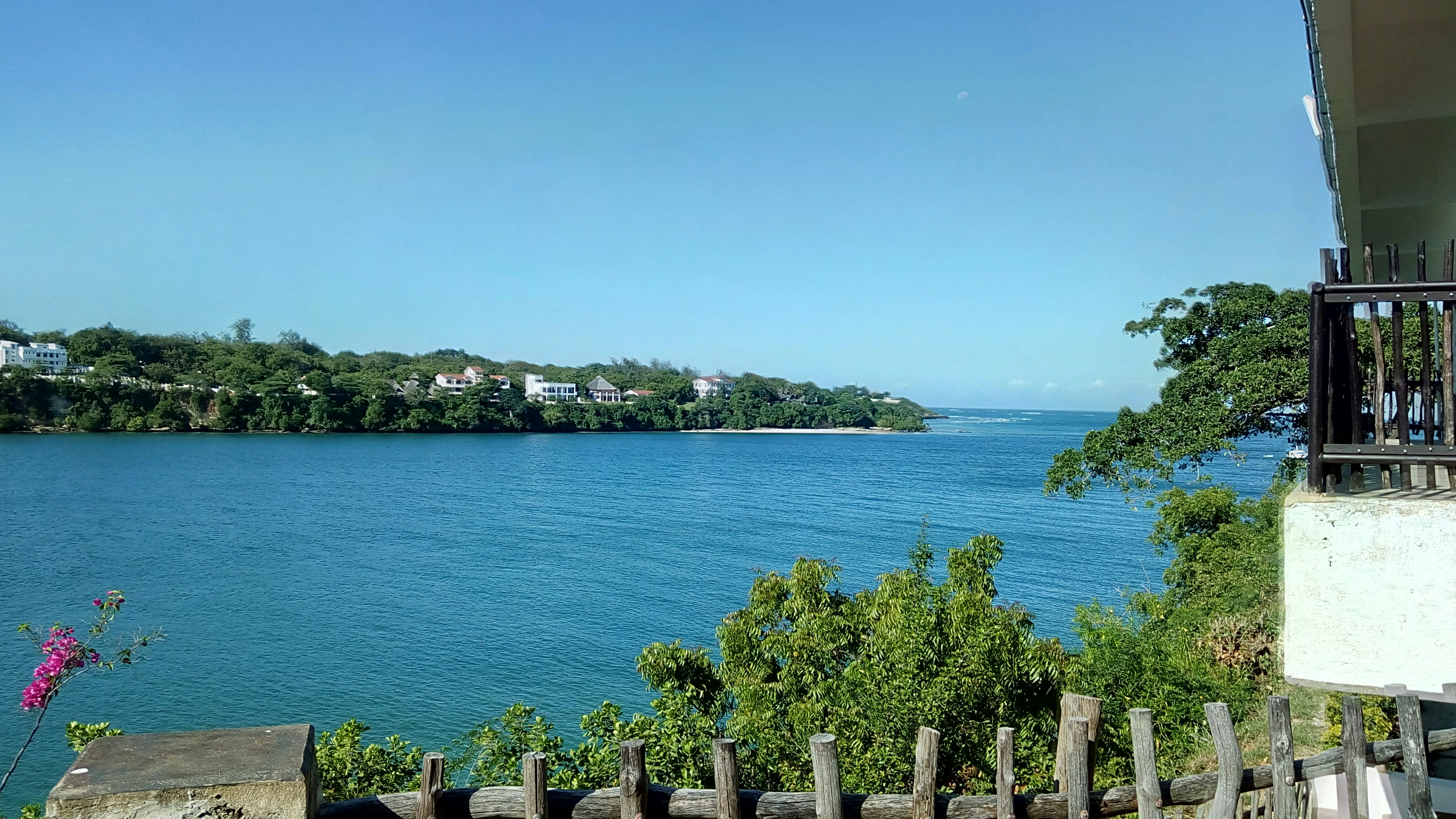 Free Unsplash photo from Saeema Salim