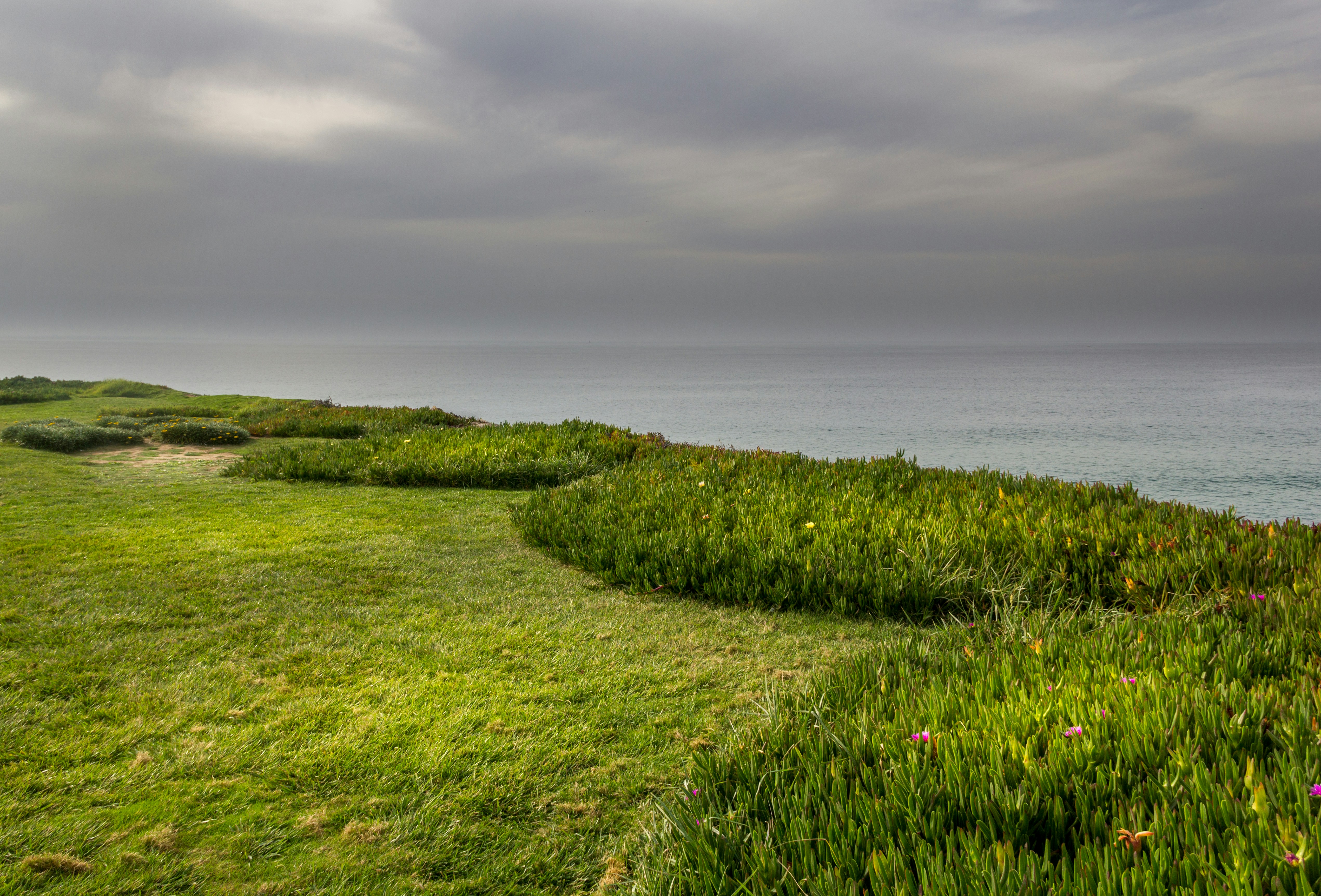 Free Unsplash photo from Bruno Correia