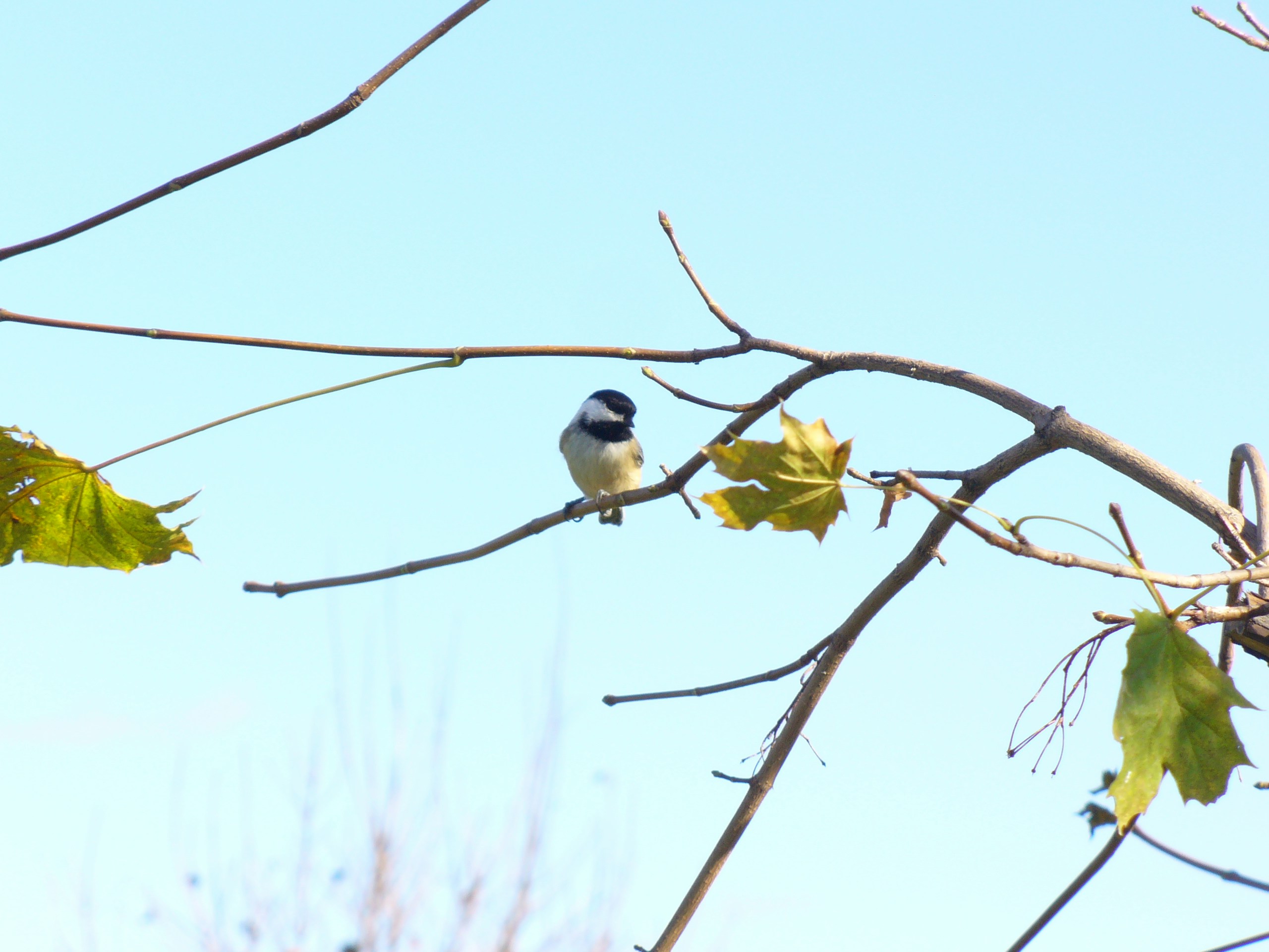Free Unsplash photo from Abby Gallagher