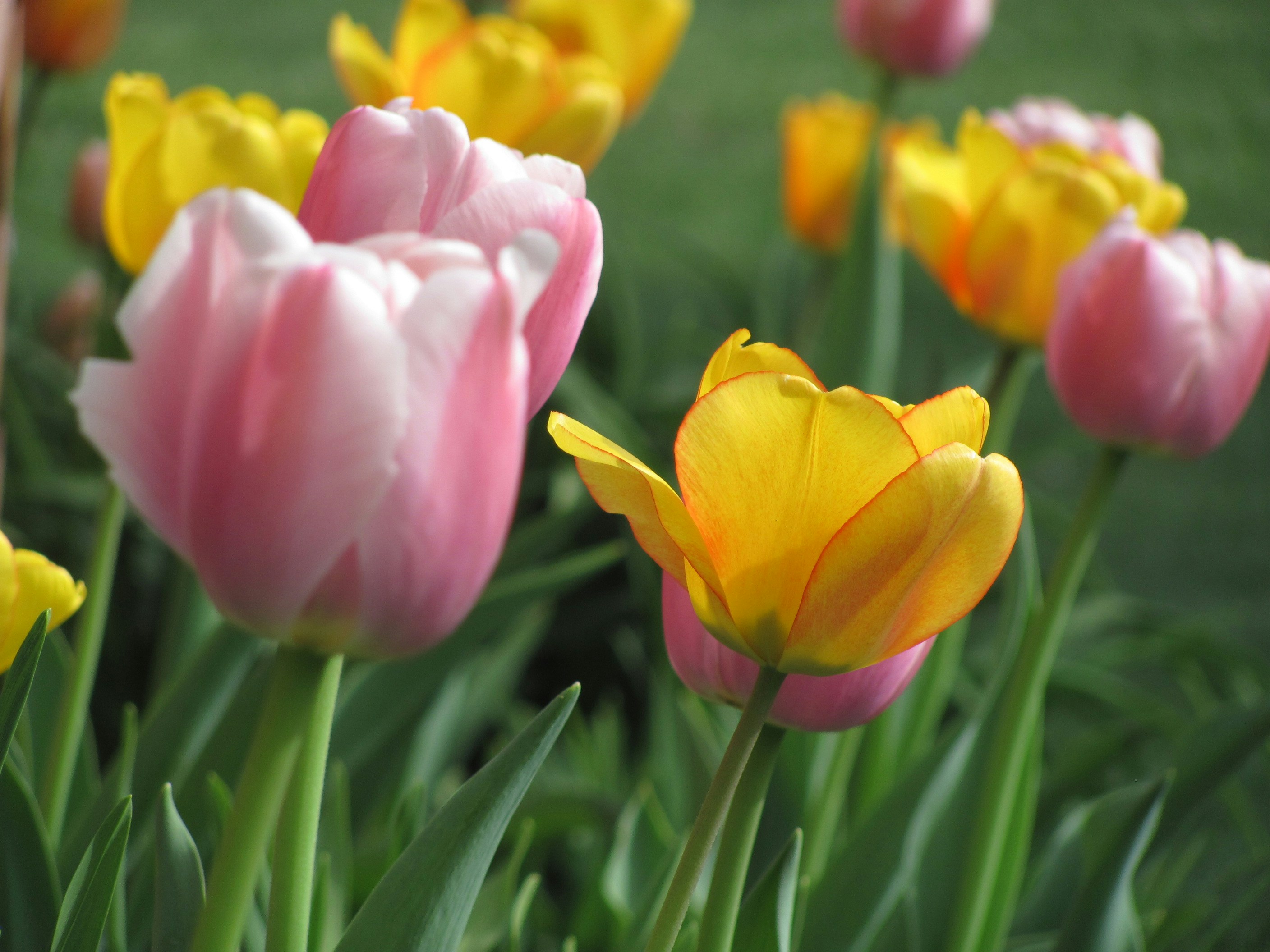 Free Unsplash photo from Abby Gallagher