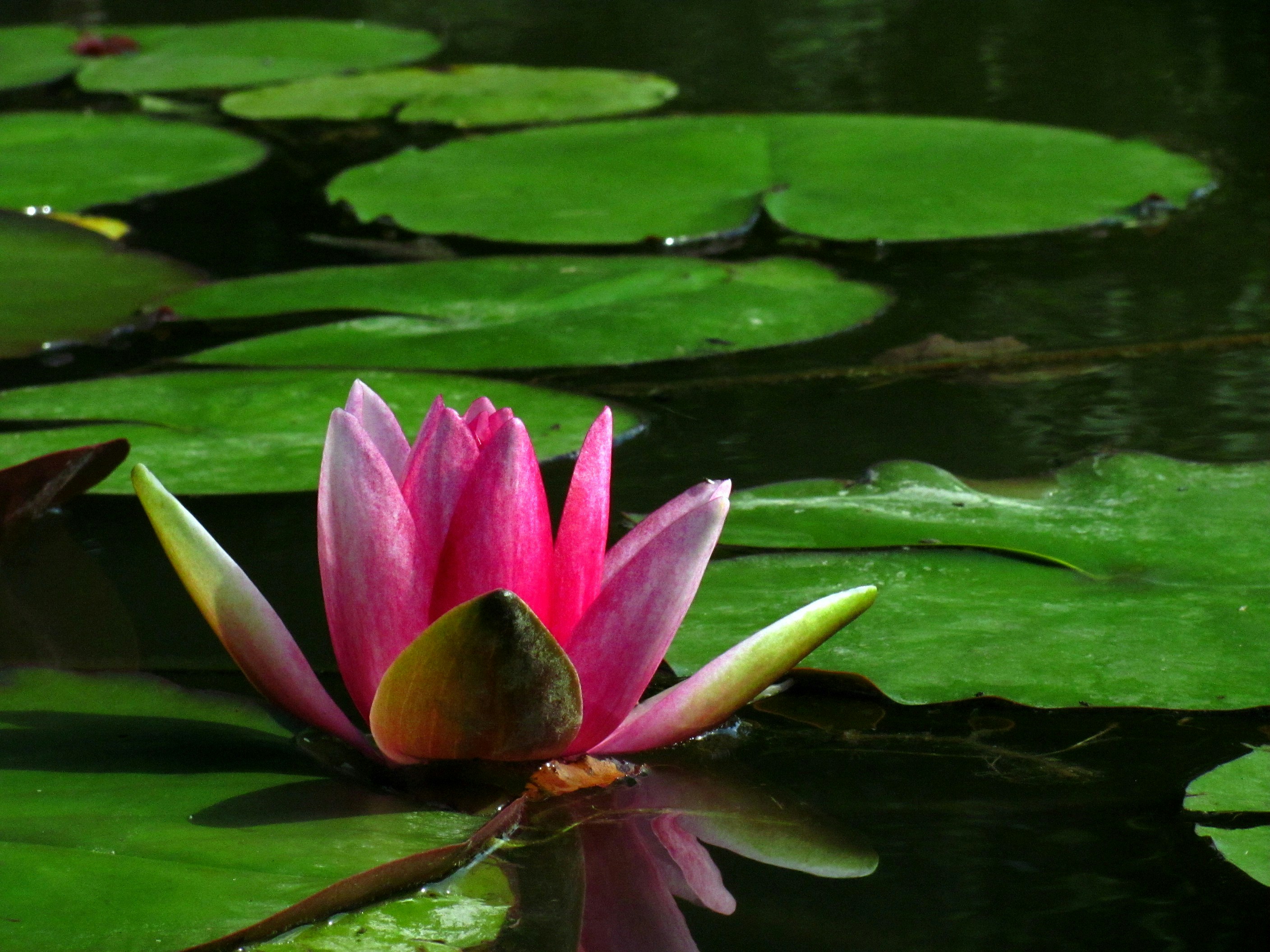 Free Unsplash photo from Abby Gallagher