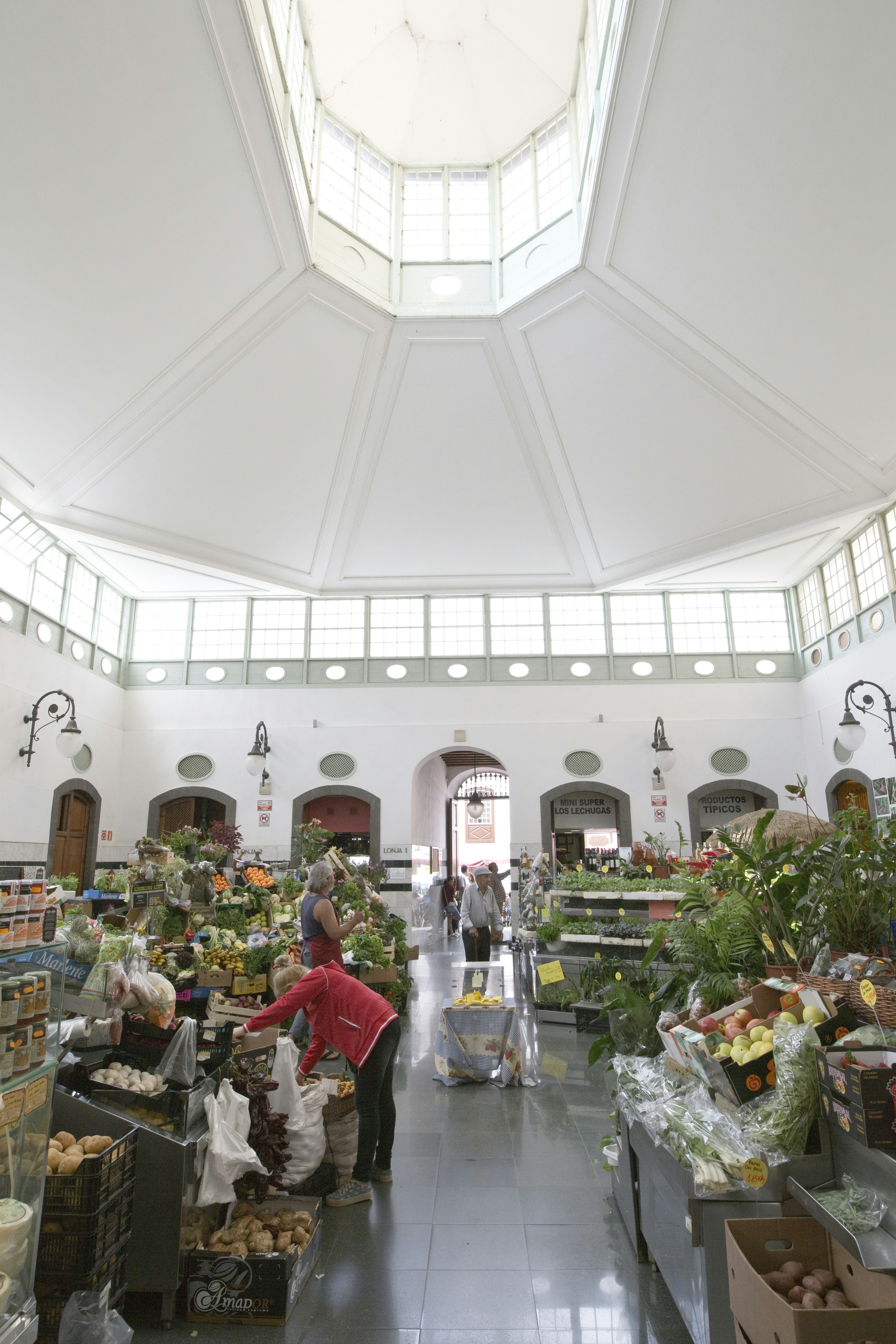 Free Unsplash photo from thomas henke