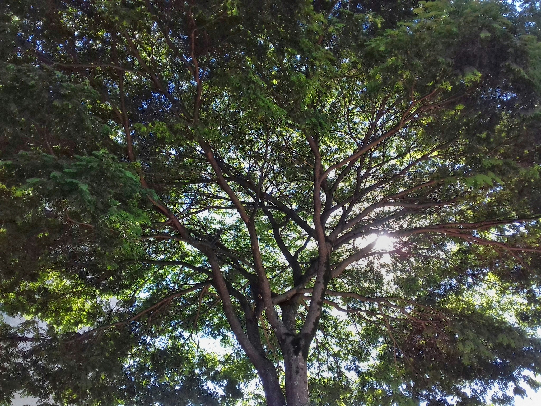 Free Unsplash photo from Ricardo Nascimento