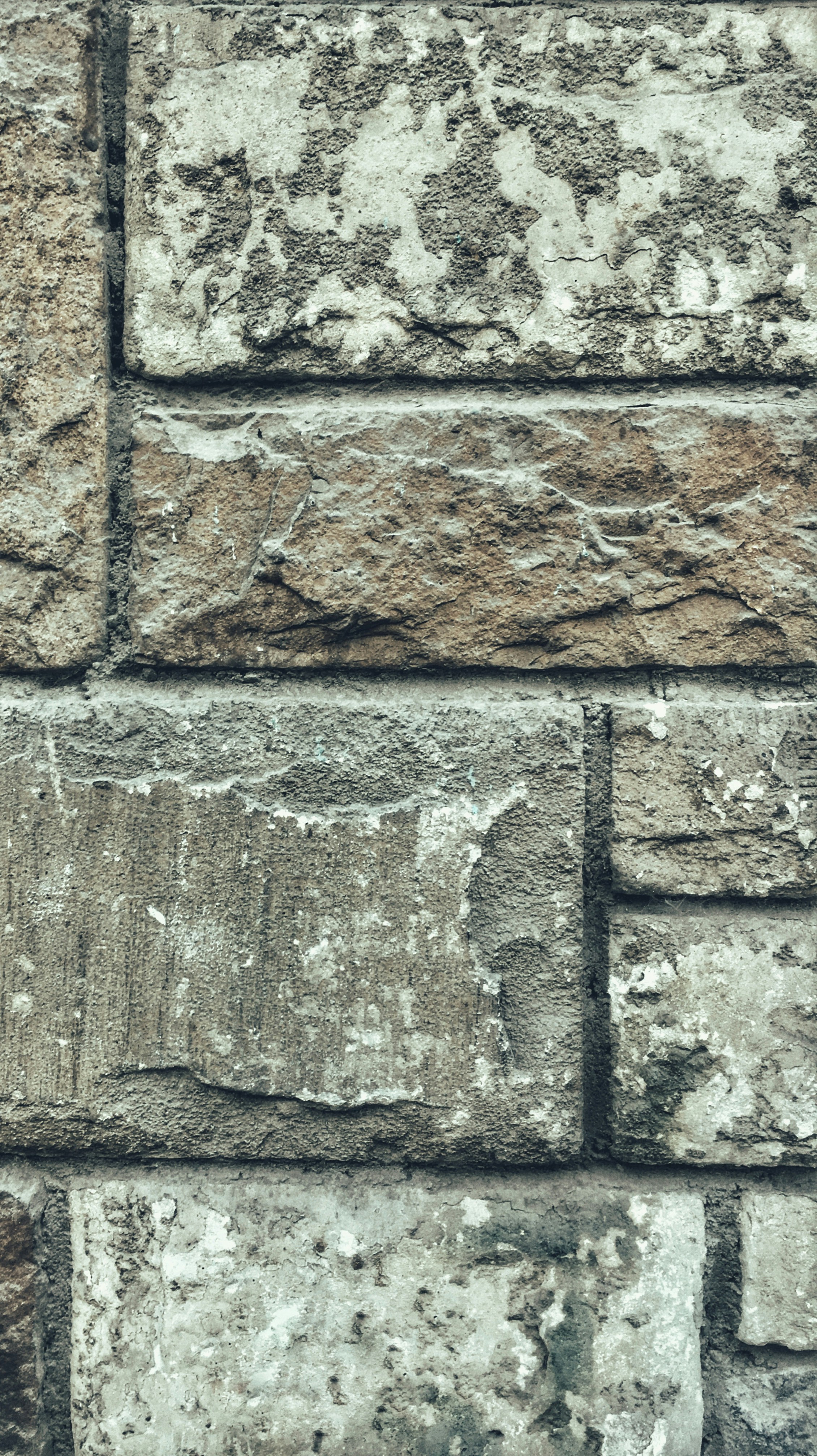 Free Unsplash photo from Yehia Hazem