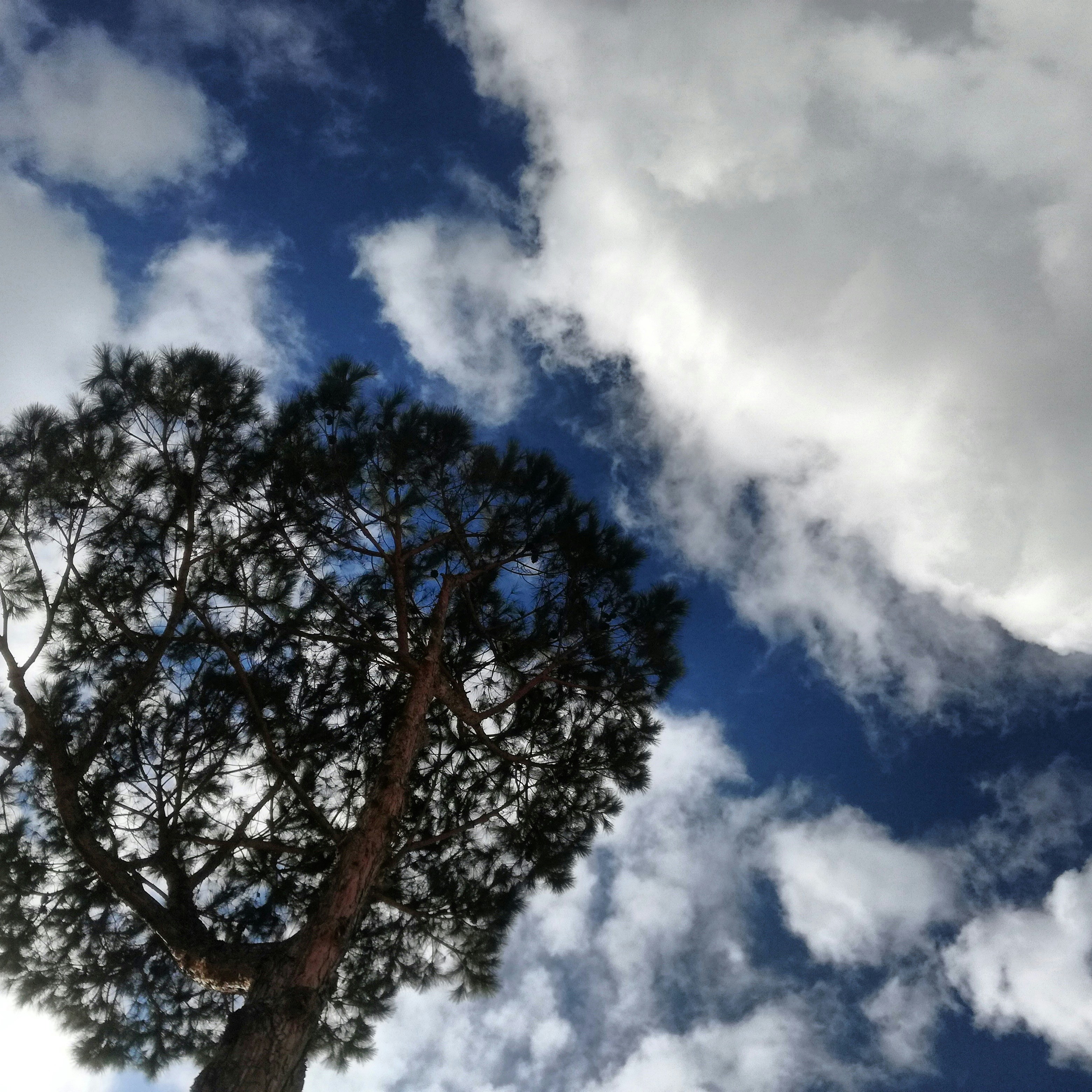 Free Unsplash photo from Giovanni Postiglione