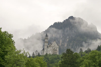 A fantasy adventure game scene with knights and dragons in a lush landscape.