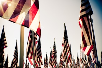Numerous American flags wave in the wind against a bright sky, with sunlight filtering through, creating a warm, patriotic scene.