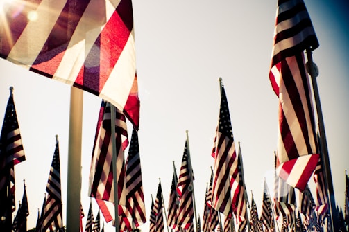 Numerous American flags wave in the wind against a bright sky, with sunlight filtering through, creating a warm, patriotic scene.