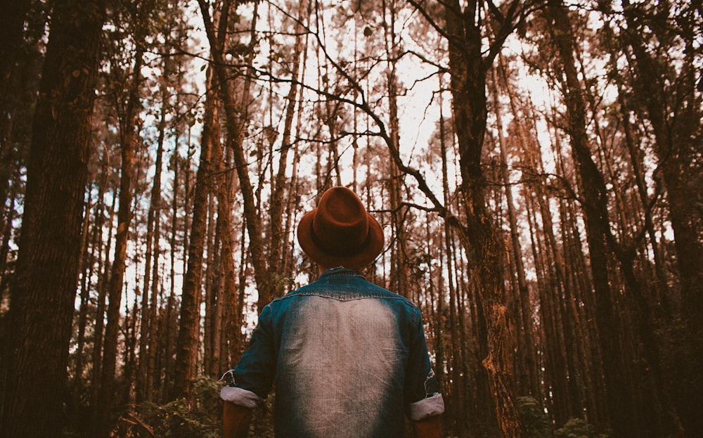 man staring up surrounded by trees taken at daytime