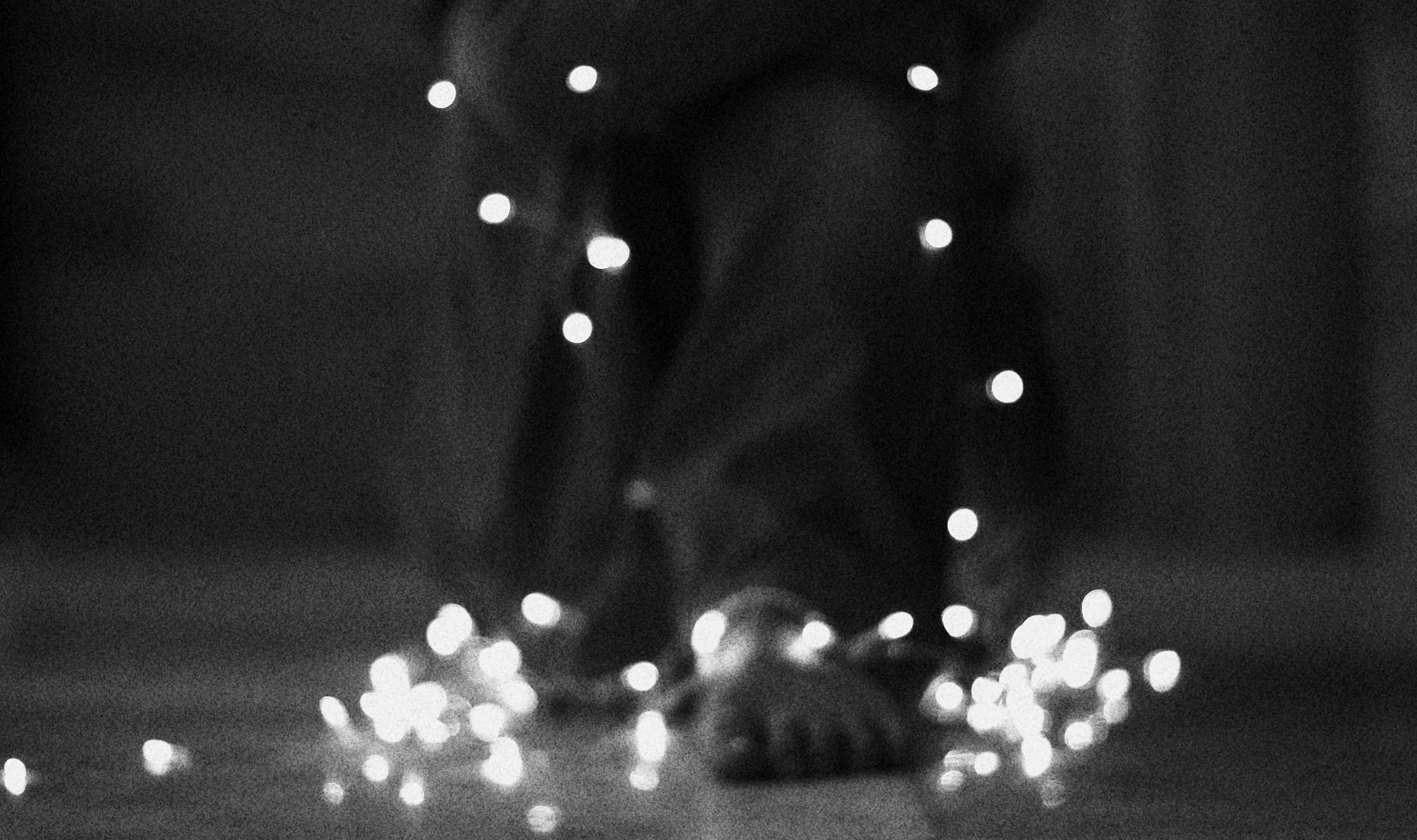 Free Unsplash photo from Andisheh A