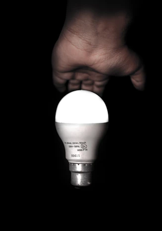 Close-up of hands exchanging a lightbulb symbolizing a bright idea and partnership.