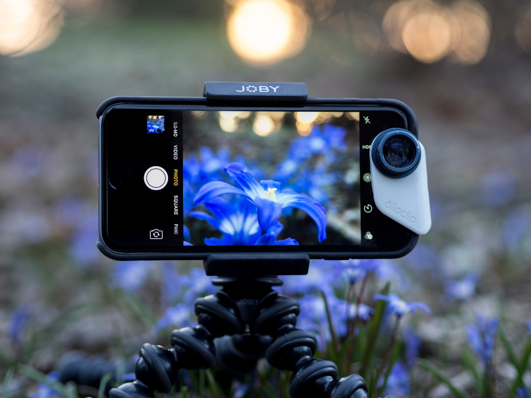 black Android smartphone capturing blue flower