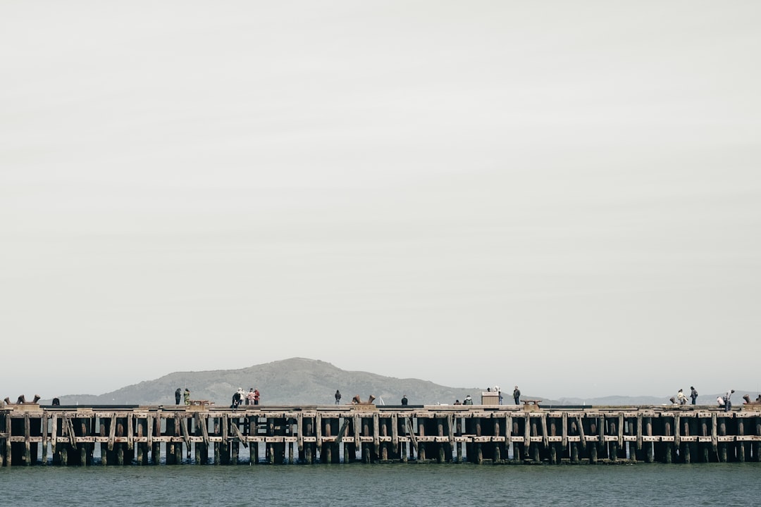 photography of concrete bridge near the body of water