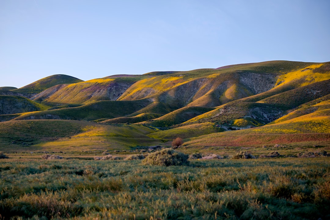 landscape photography of green mountain