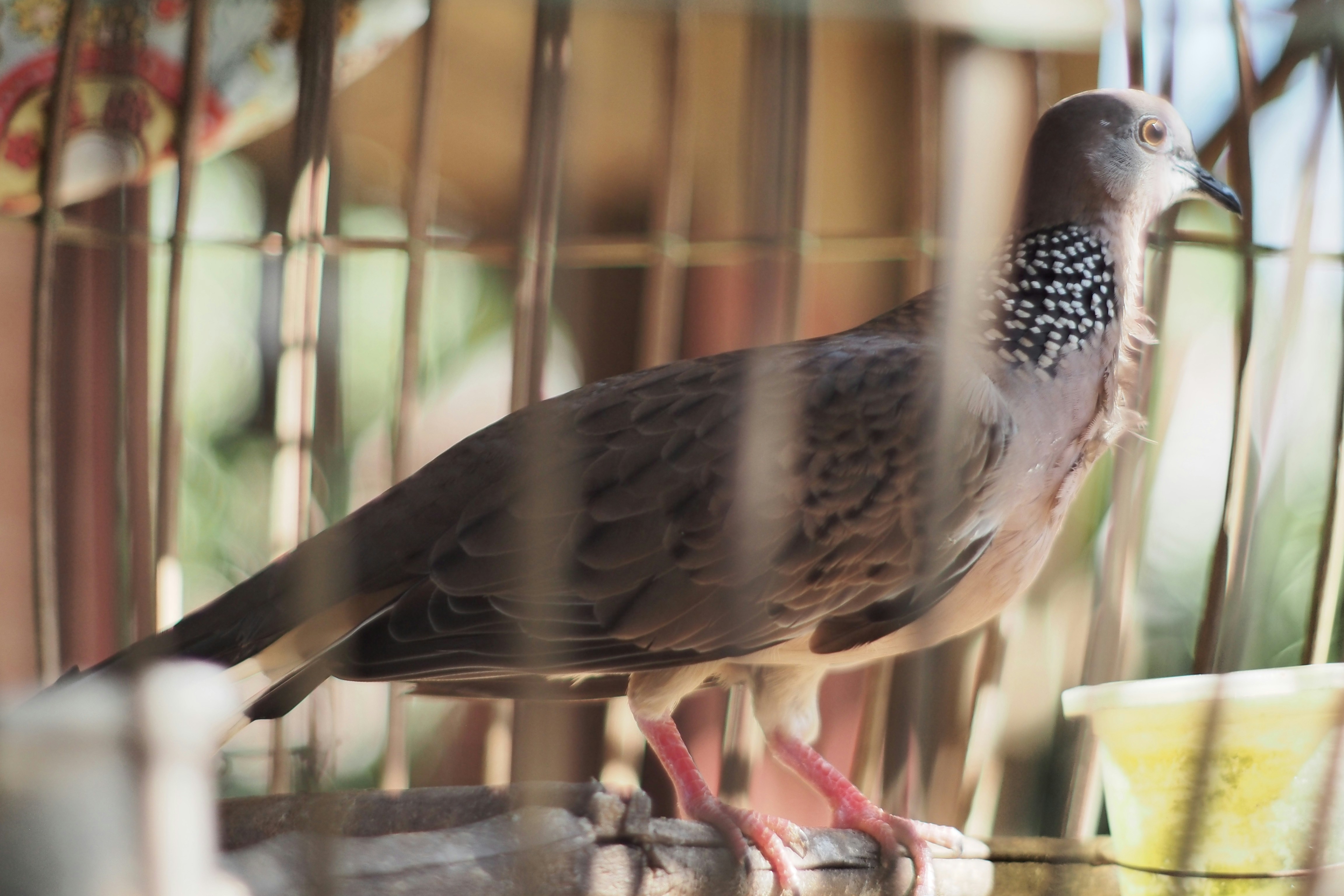 Free Unsplash photo from Jongjit Pramchom