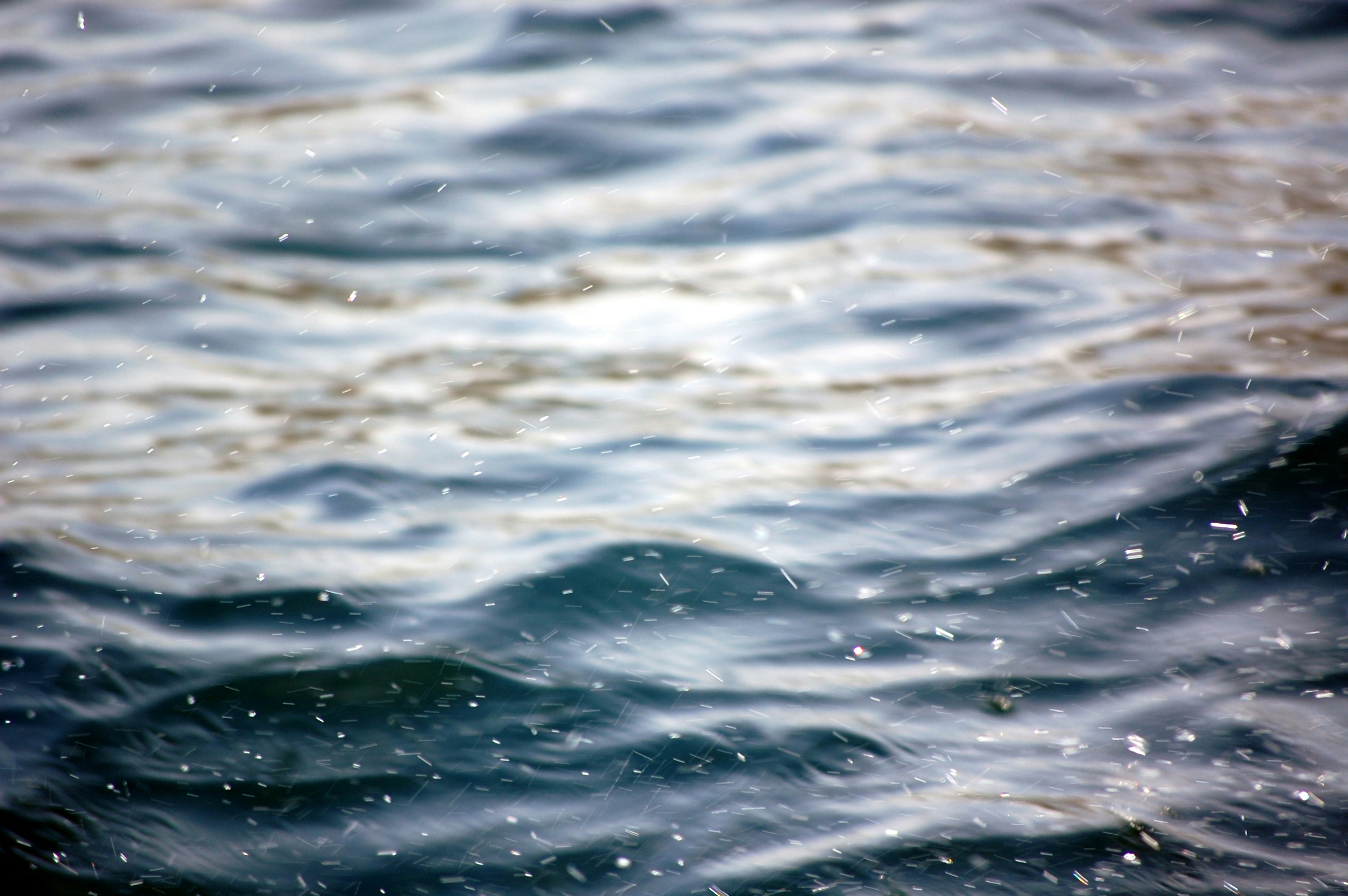 Free Unsplash photo from Noah Arsenault