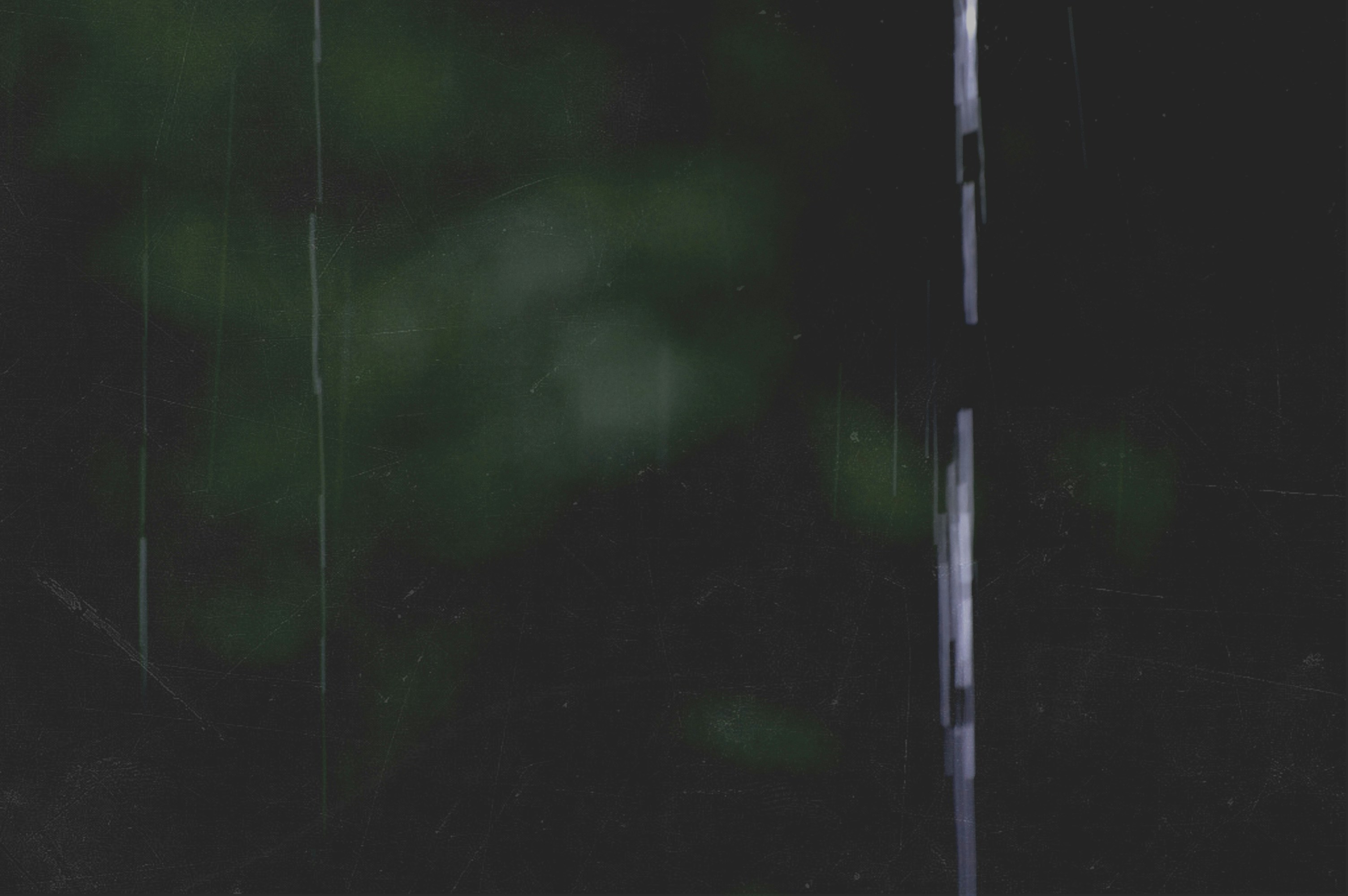 Free Unsplash photo from Noah Arsenault