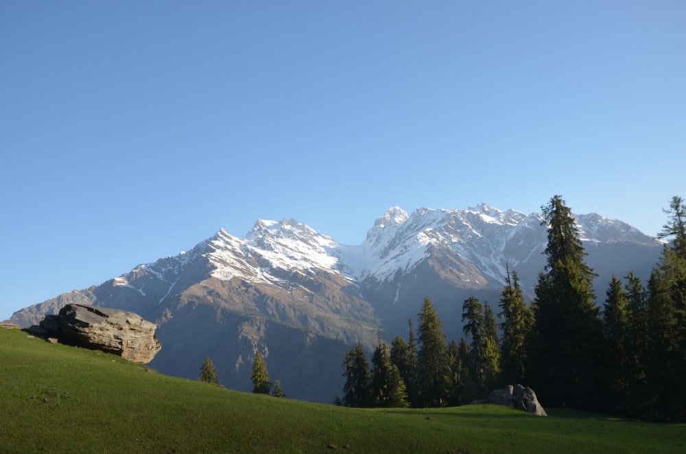 white and green mountain and gray rock near green trees