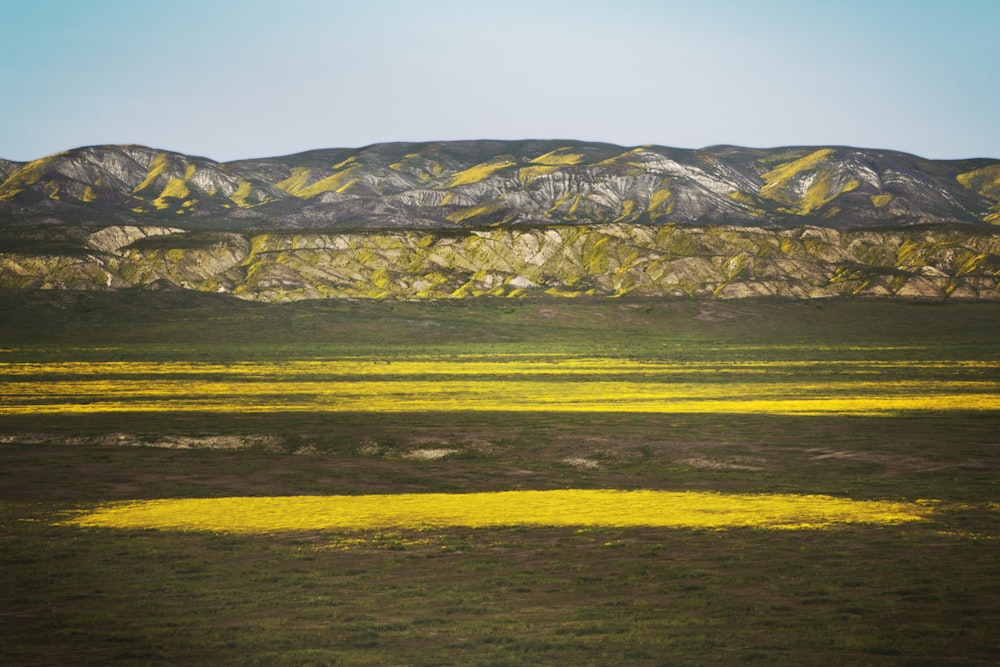 Panoramafoto von grünem Grasland mit Bergen im Hintergrund unter blauem Himmel