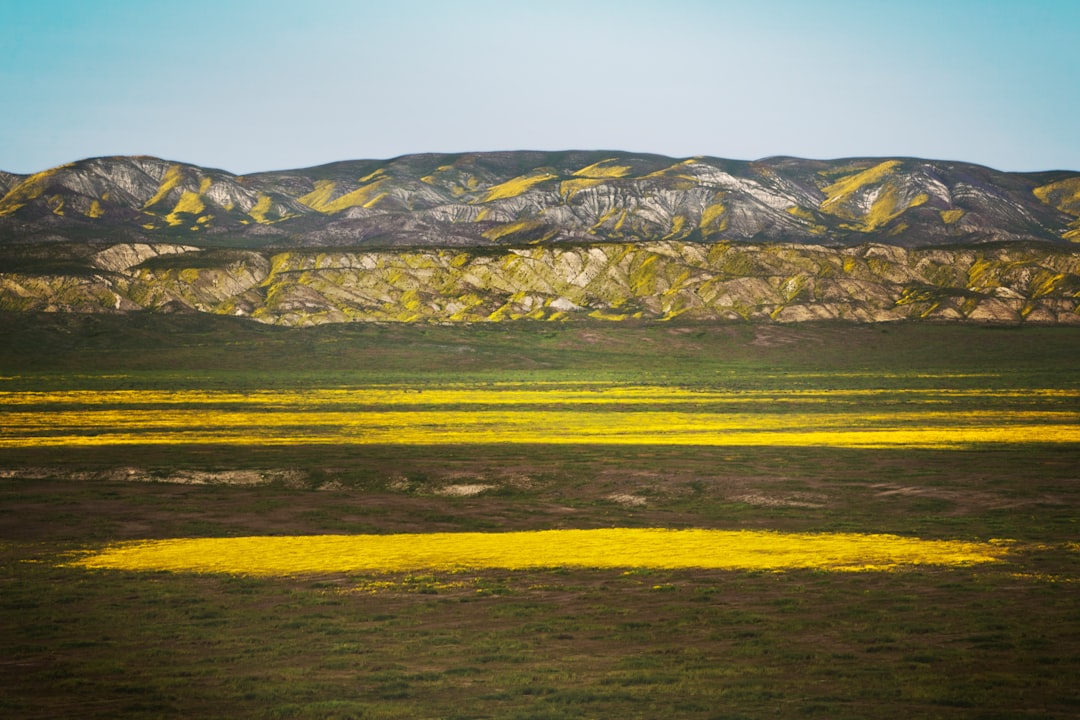 travelers stories about Plain in Carrizo Plain National Monument, United States
