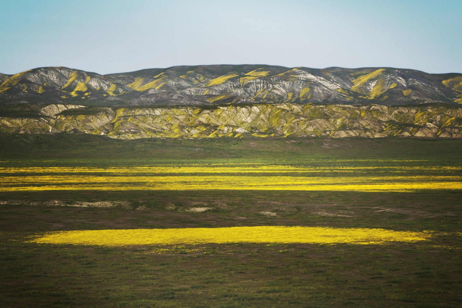 Nikon D600 + Nikon AF-S DX Nikkor 18-135mm F3.5-5.6G ED-IF sample photo. Panoramic photo of green photography