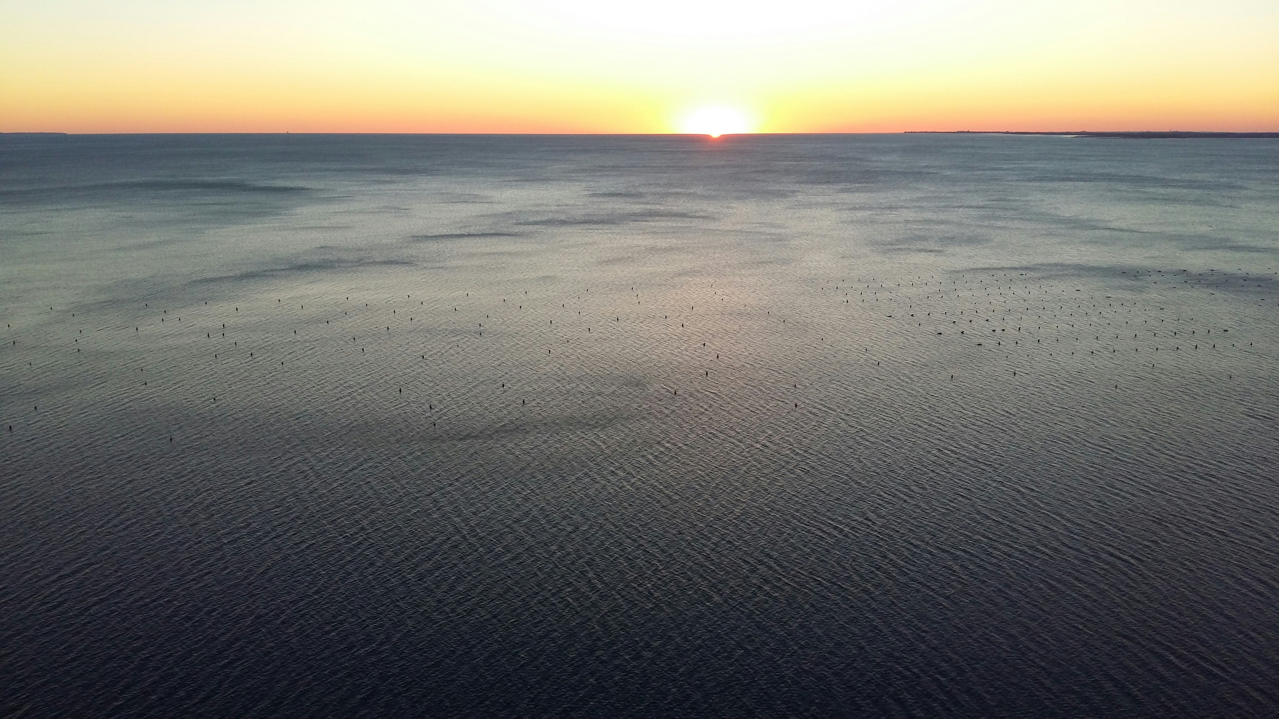 Free Unsplash photo from Giuliano Cargnello