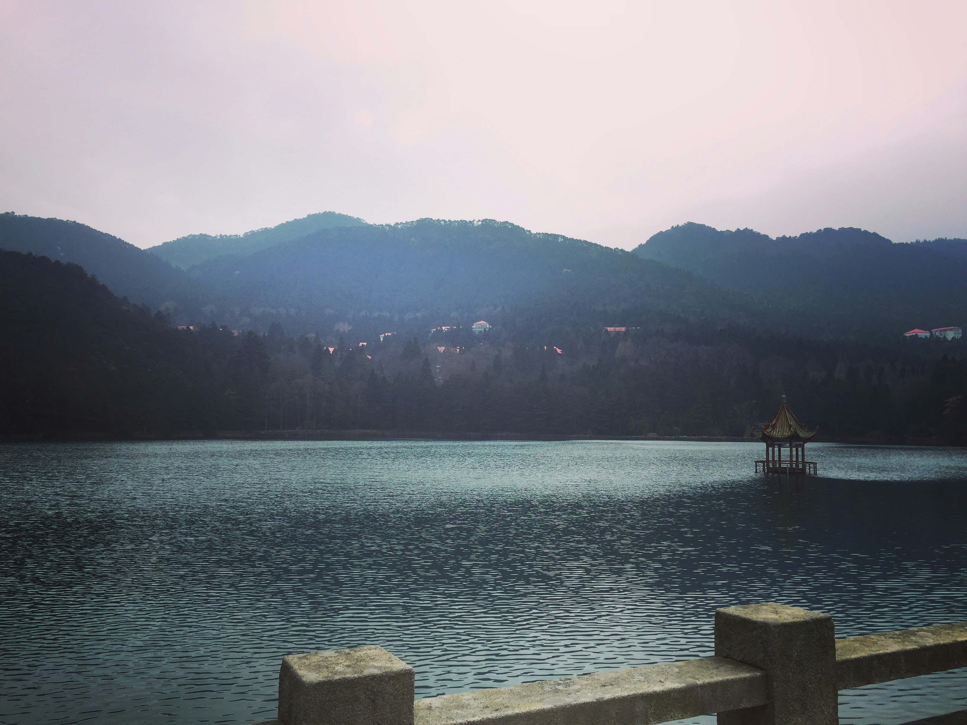 Free Unsplash photo from caroline wang