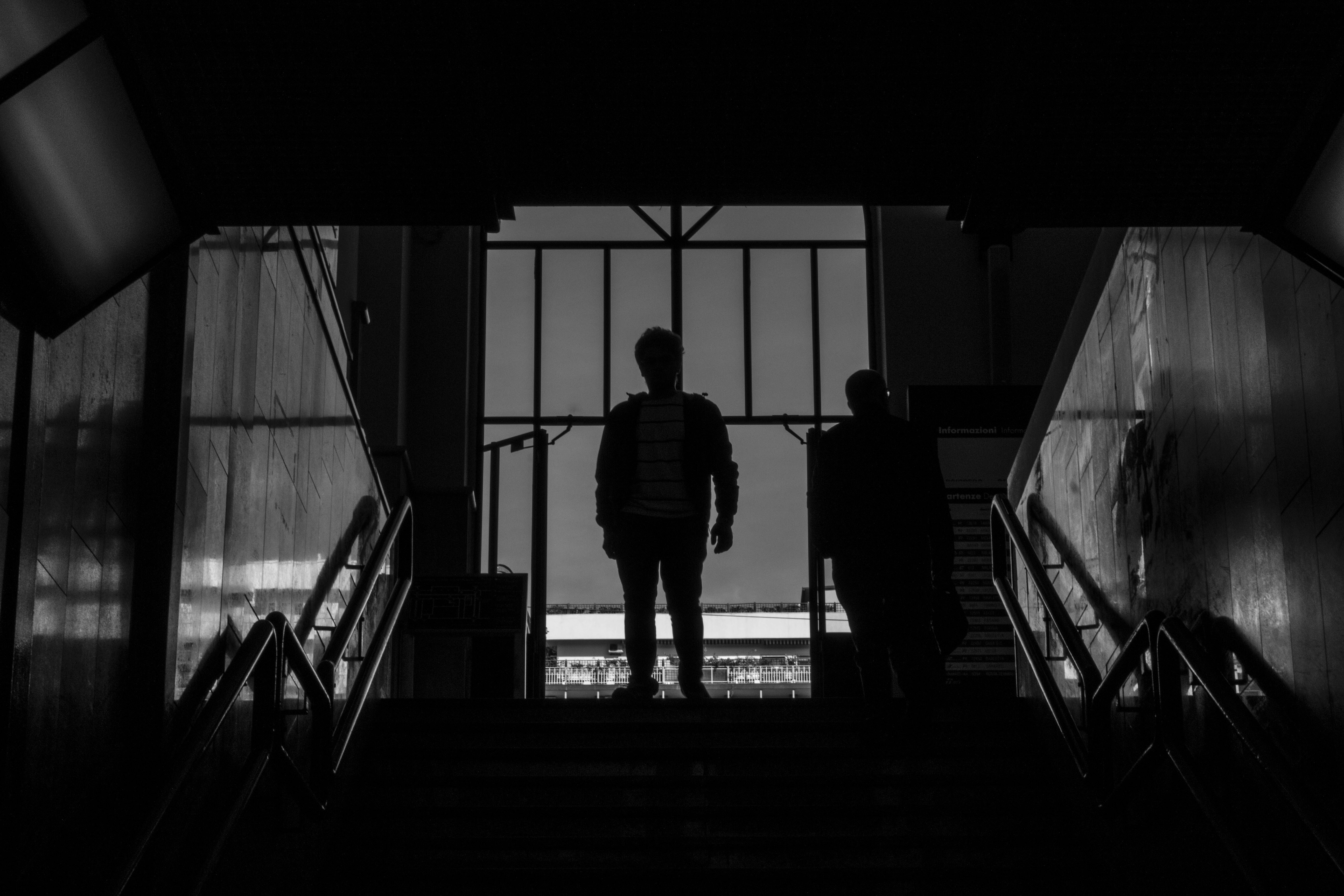 Free Unsplash photo from Lion Ellendt