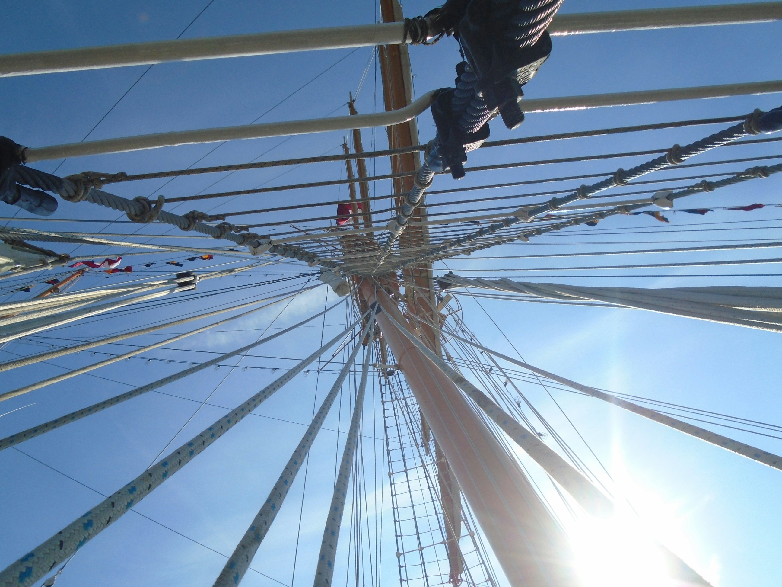 Free Unsplash photo from Eric Penning