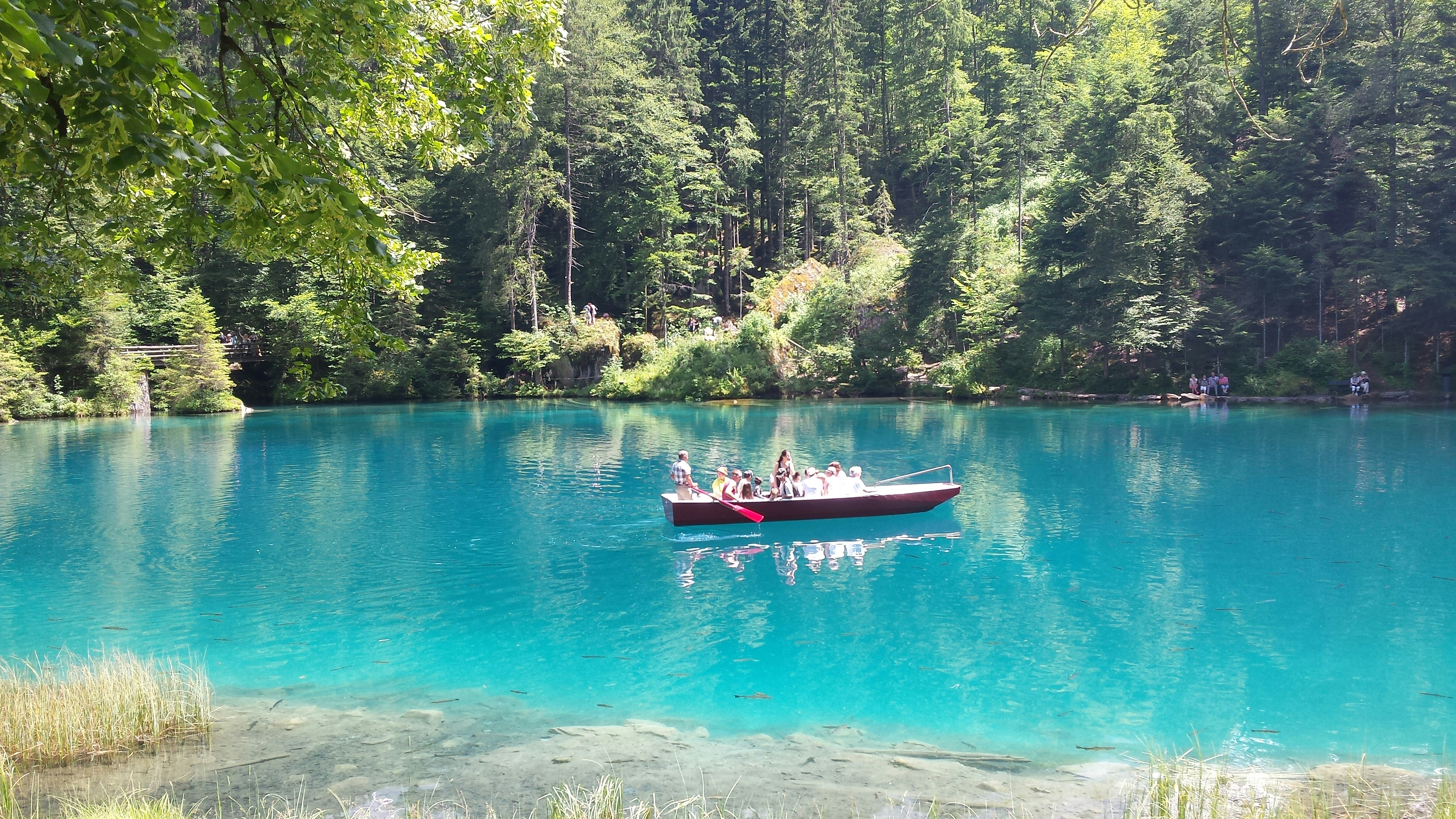 Free Unsplash photo from Carlos Alfredo Valencia