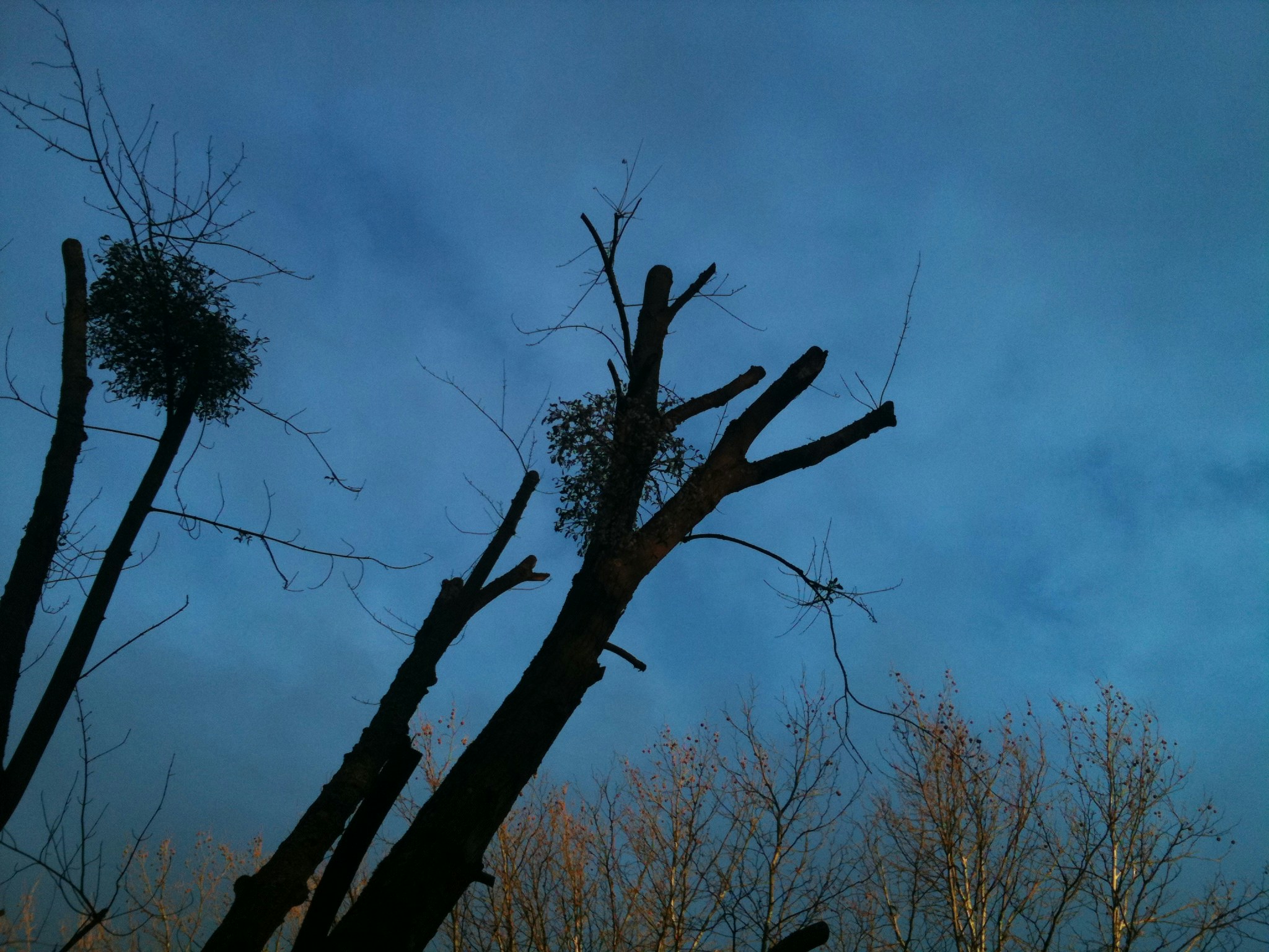 Free Unsplash photo from Thomas Marschall