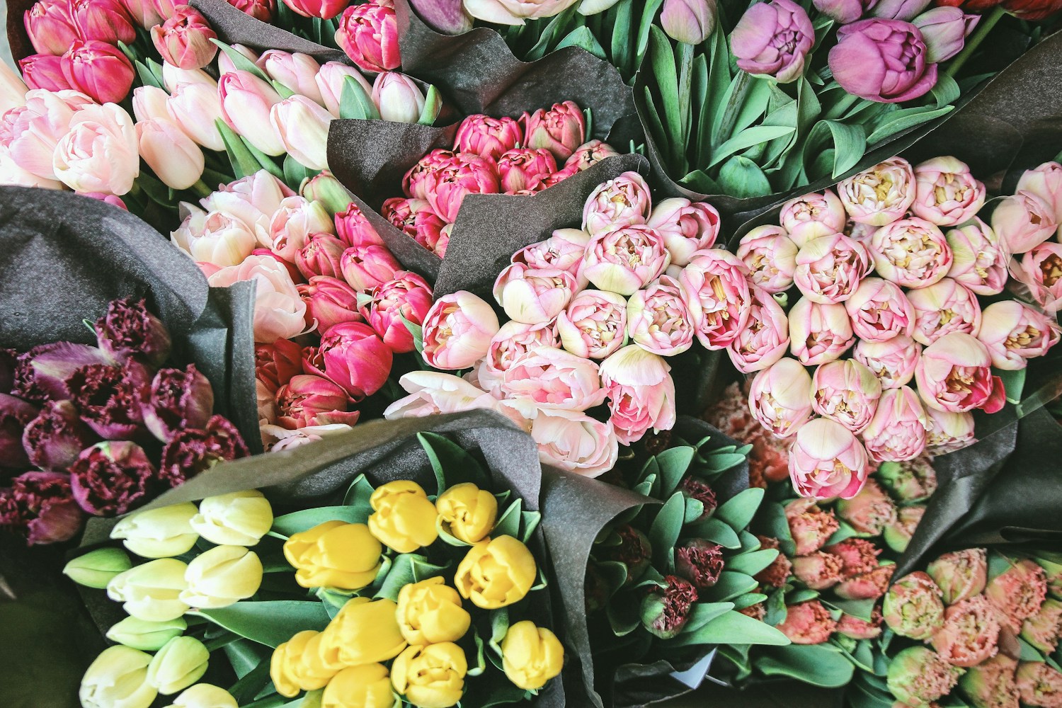 Weekly Flower Subscriptions Image
