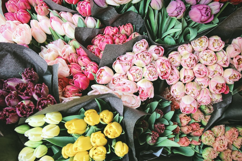 bouquet de tulipes de couleurs assorties