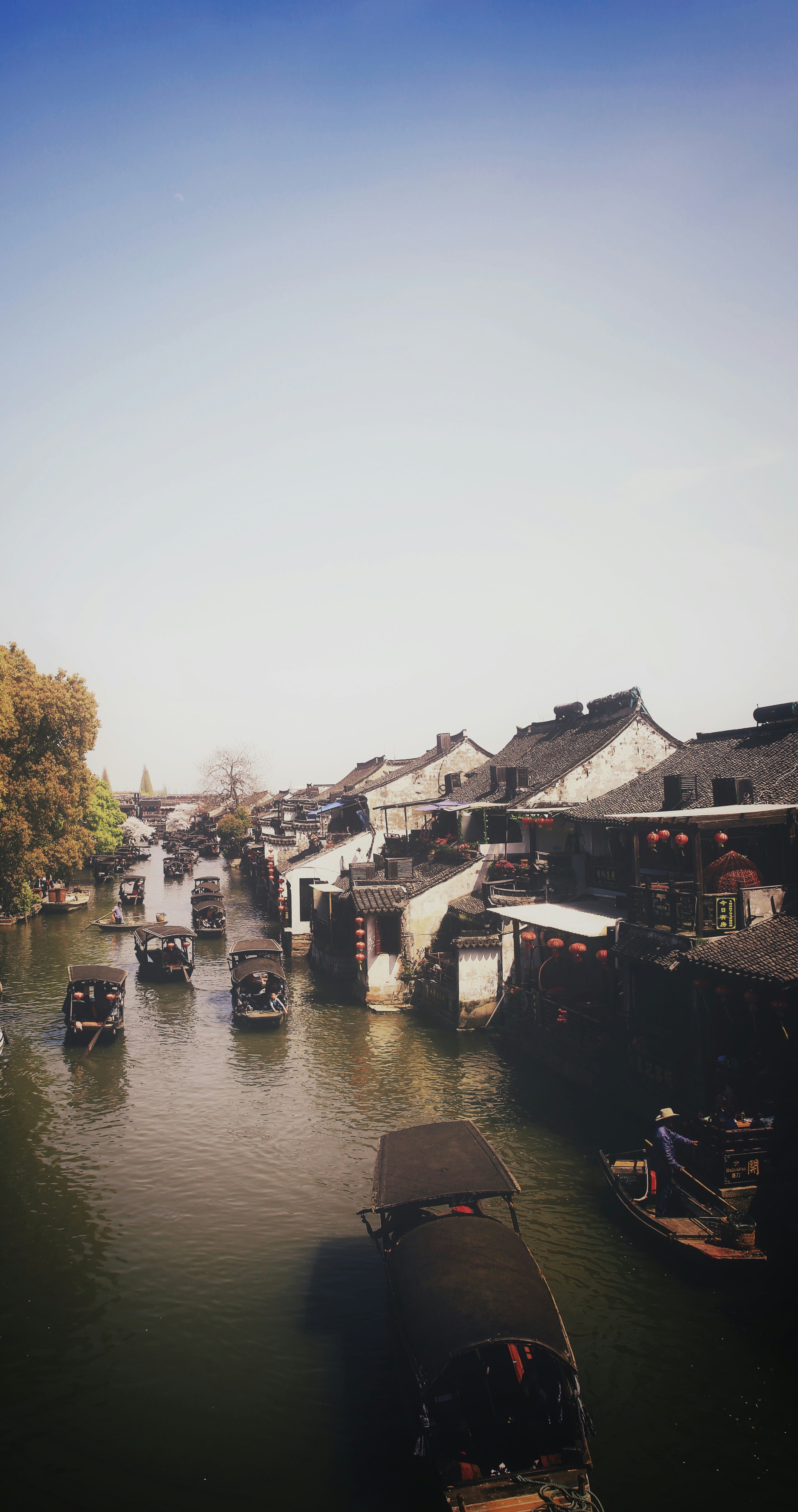 Free Unsplash photo from Yin Wang