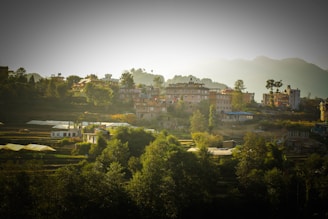 Scenic view of terraced fields and mountain backdrop in a rural Nepalese village.