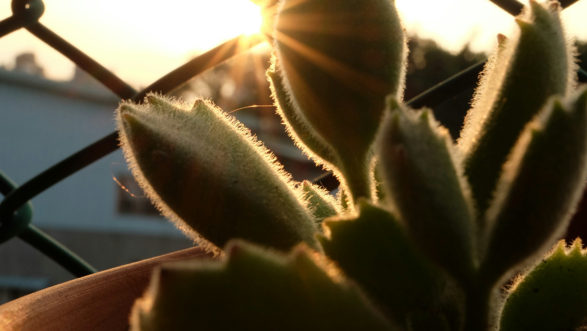 Free Unsplash photo from mingchi chen