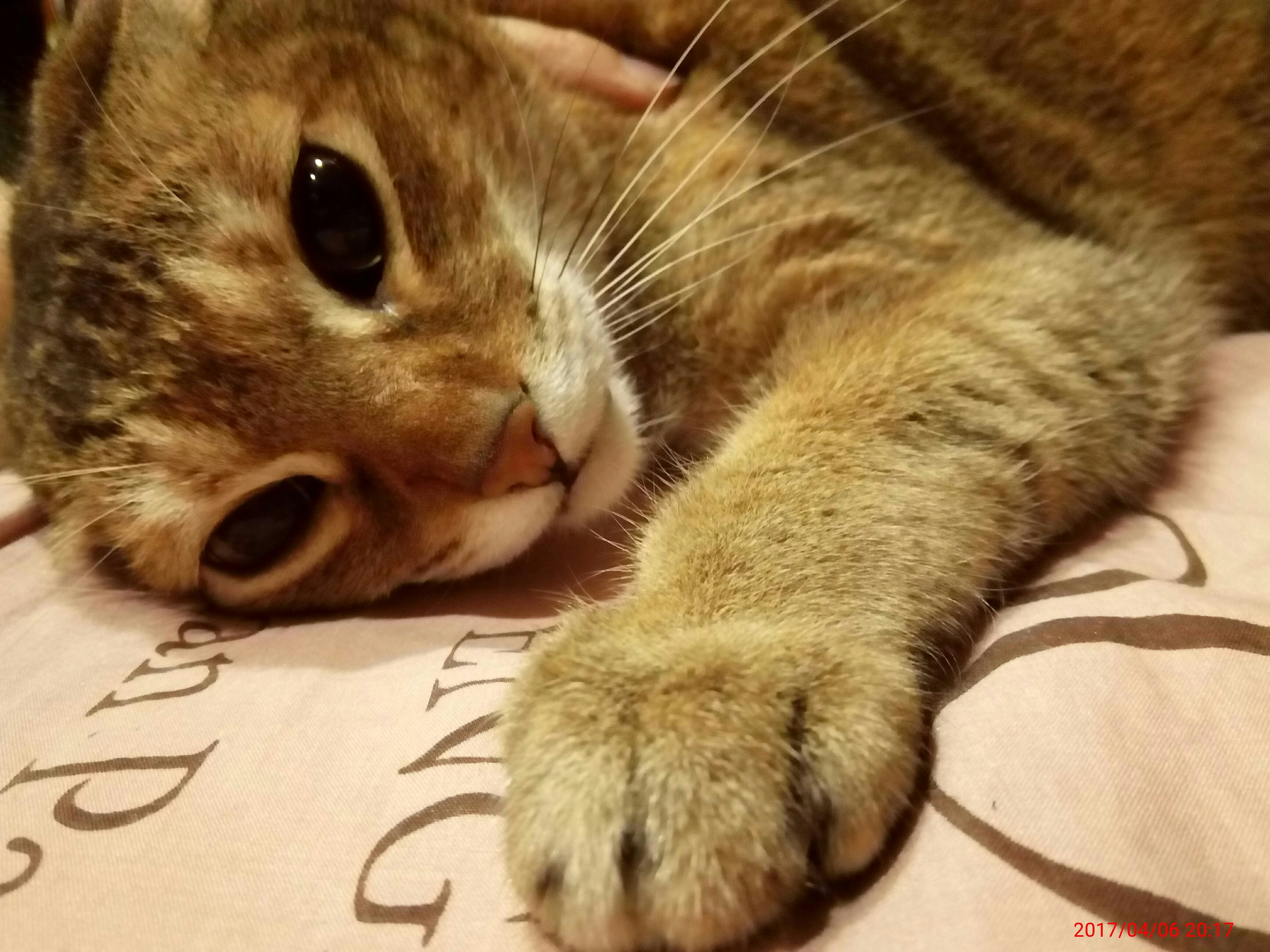 Free Unsplash photo from mingchi chen