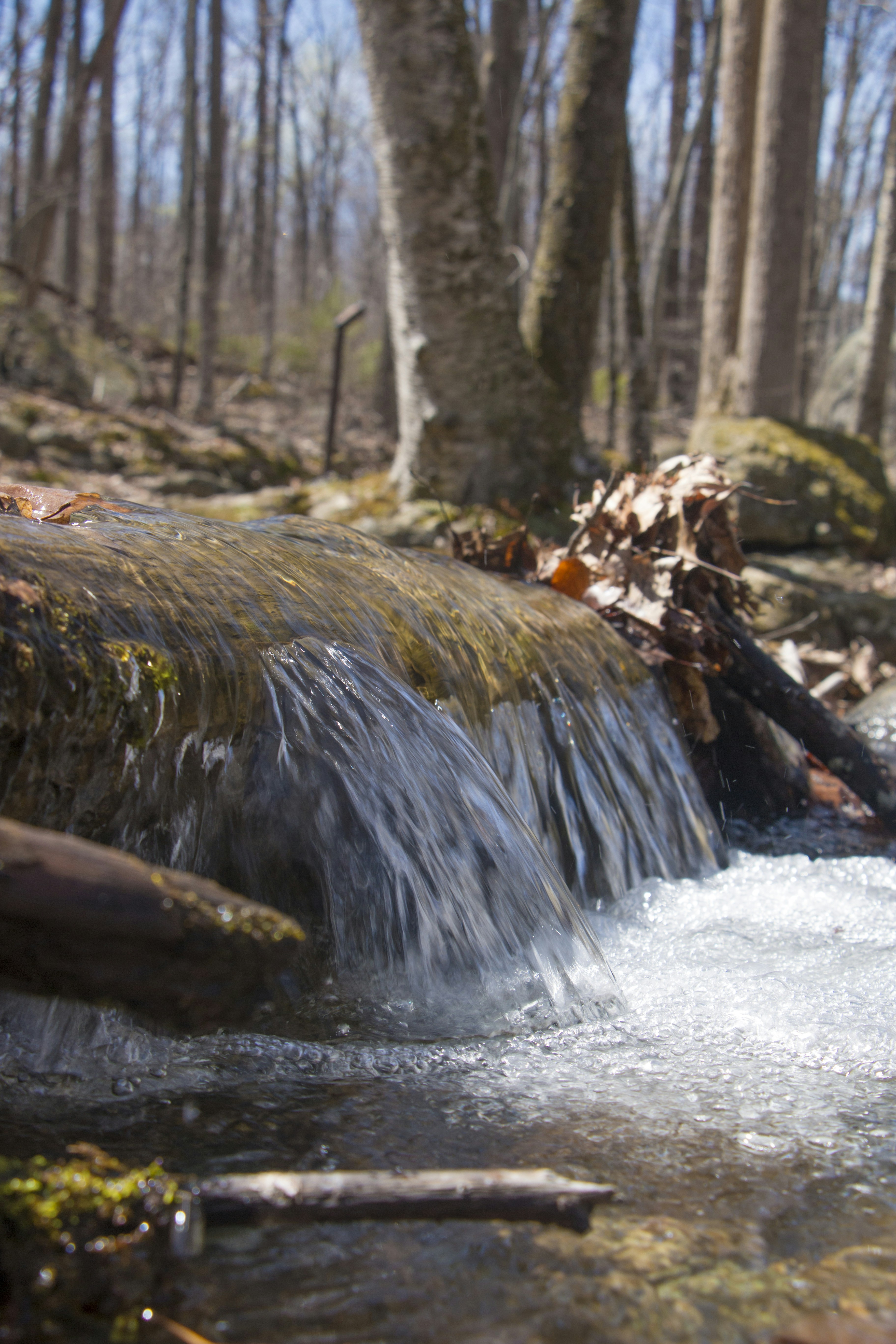 Free Unsplash photo from Nathaniel Pittman