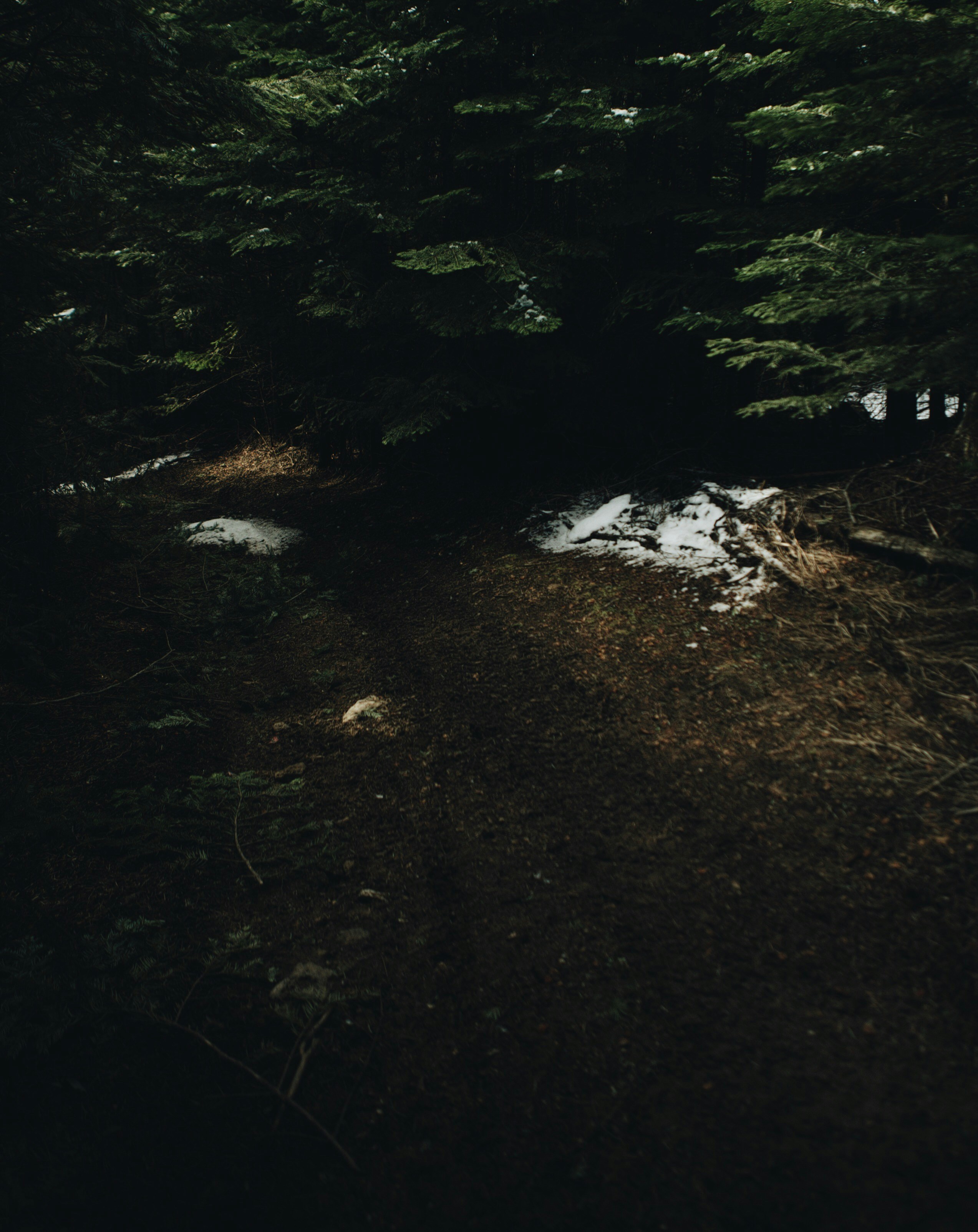 Free Unsplash photo from Max Delsid