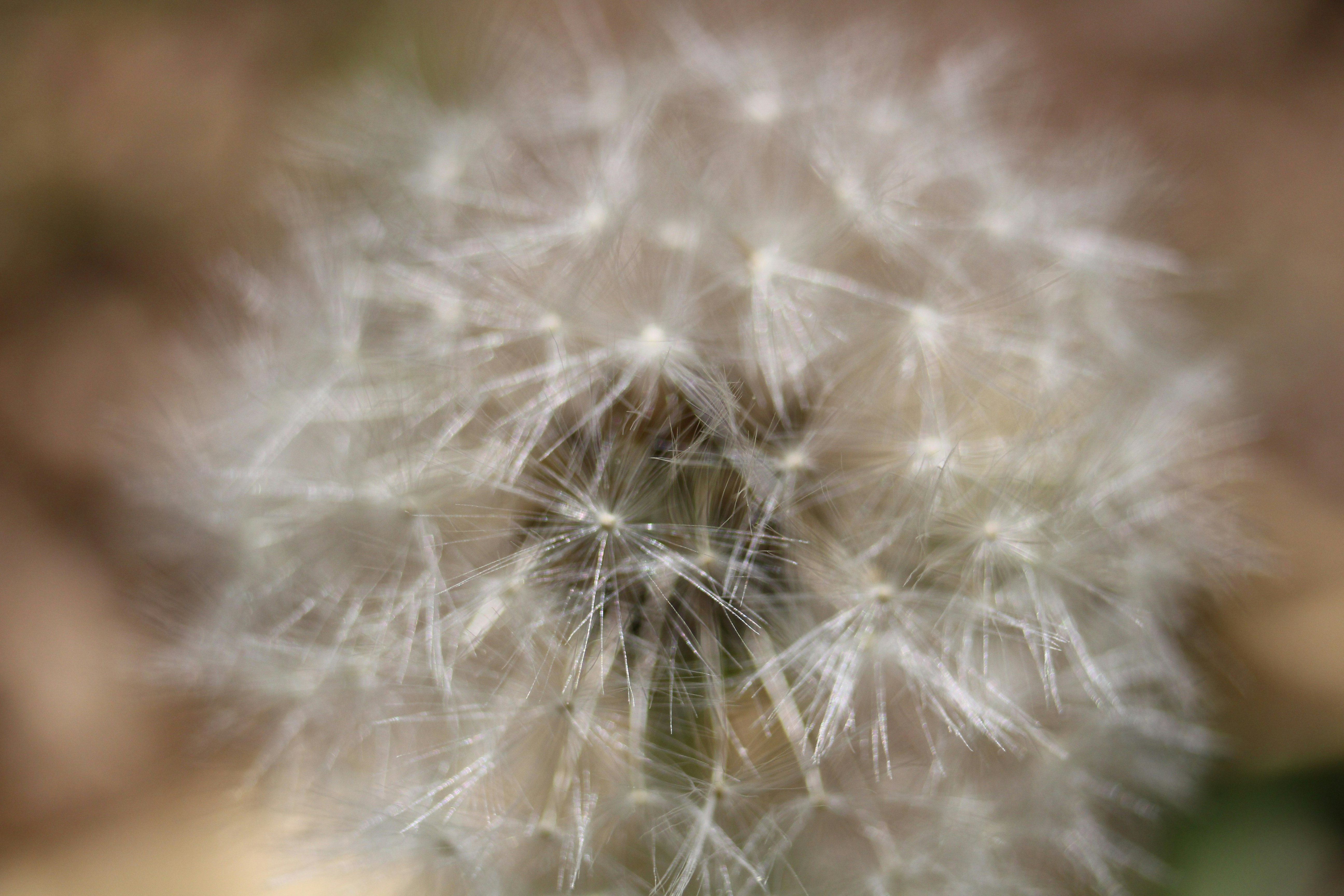 Free Unsplash photo from Pavlo Aliko