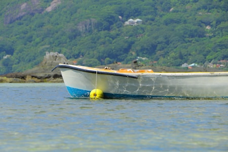A small boat is floating on clear, shallow water with a green forest-covered hill in the background. The boat is white with a blue stripe near the waterline and is tethered to a yellow buoy.
