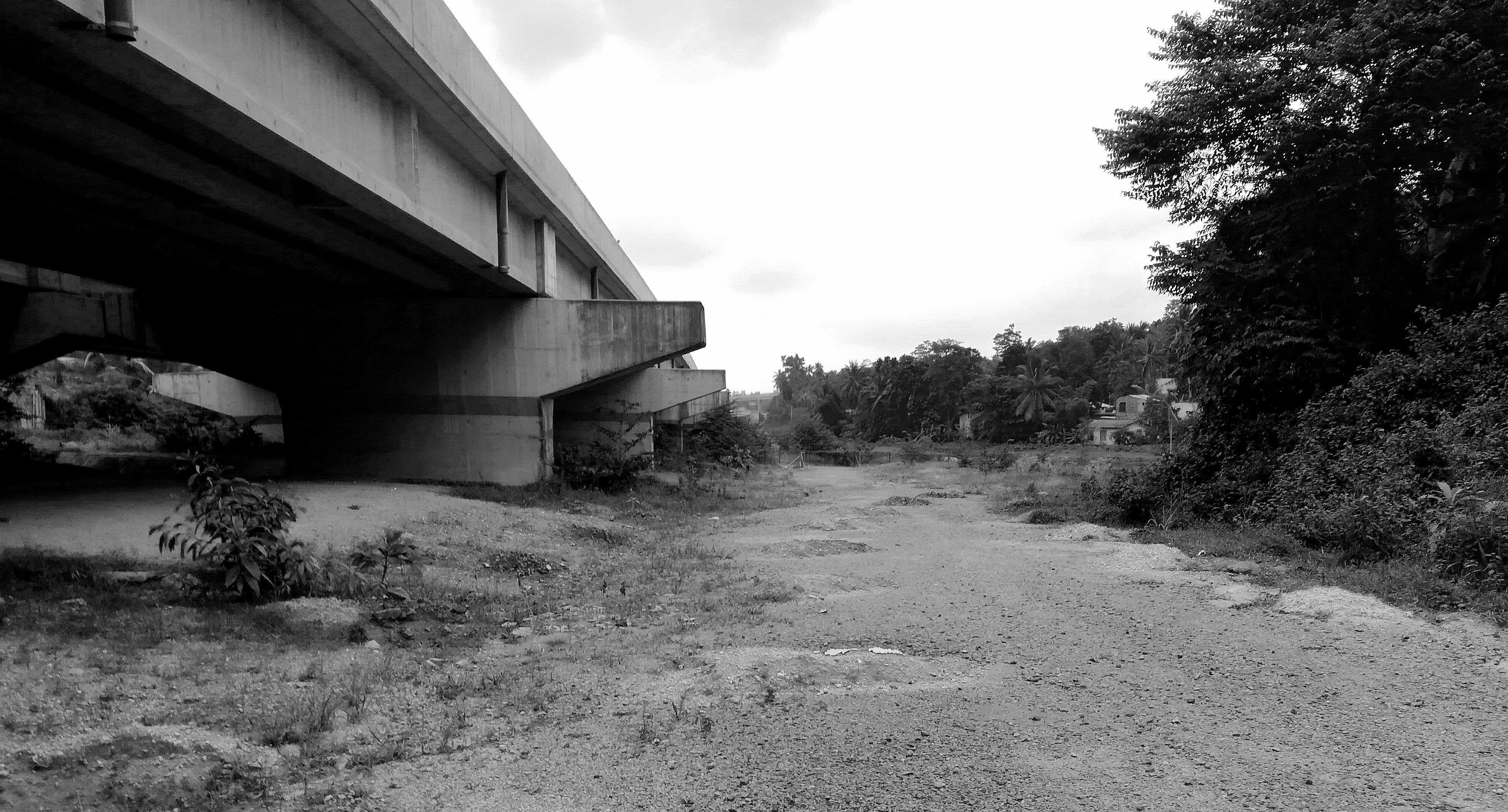 Free Unsplash photo from harintha priyashan