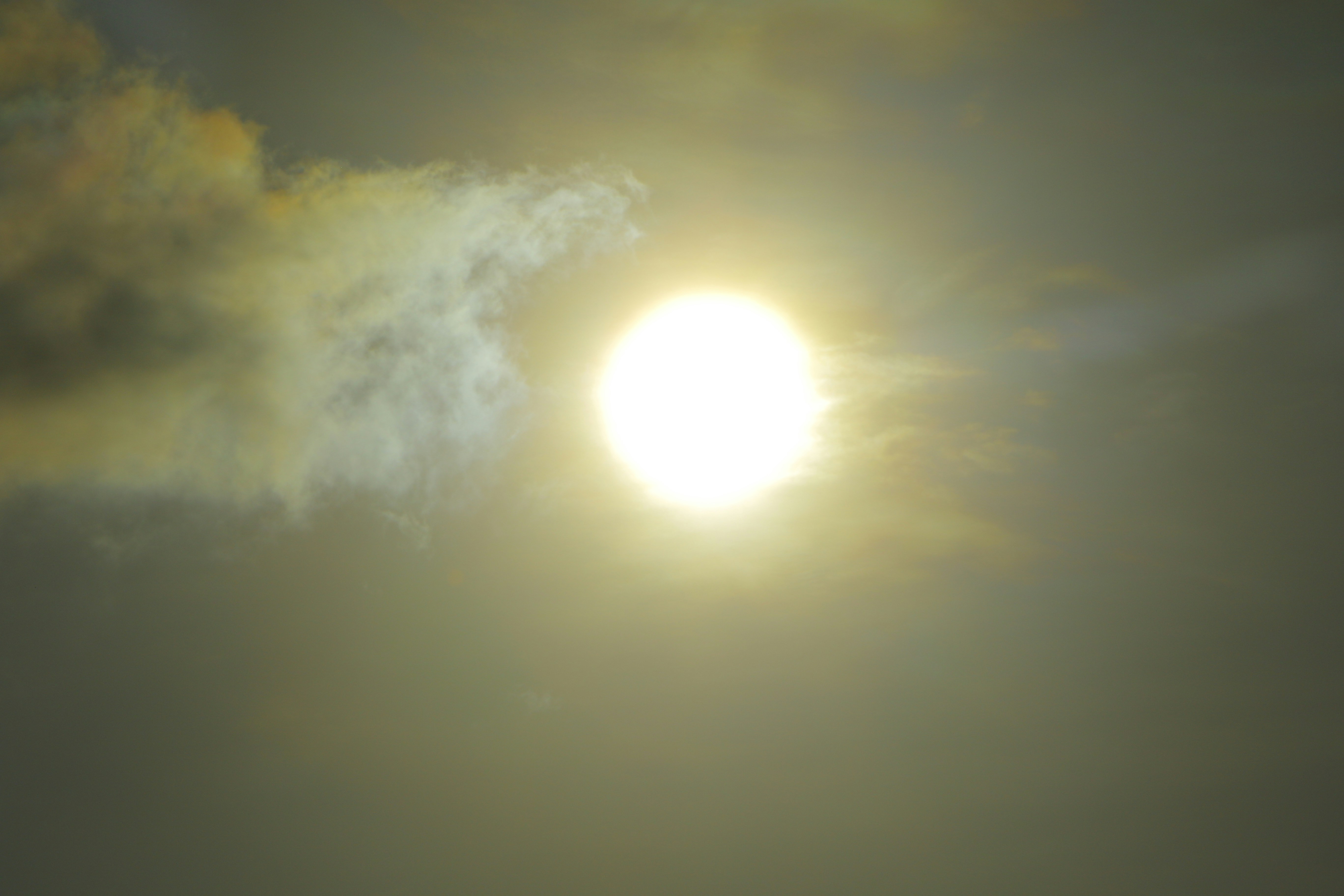 Free Unsplash photo from Adam Hussain