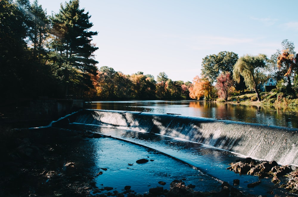 lake with trees on sides