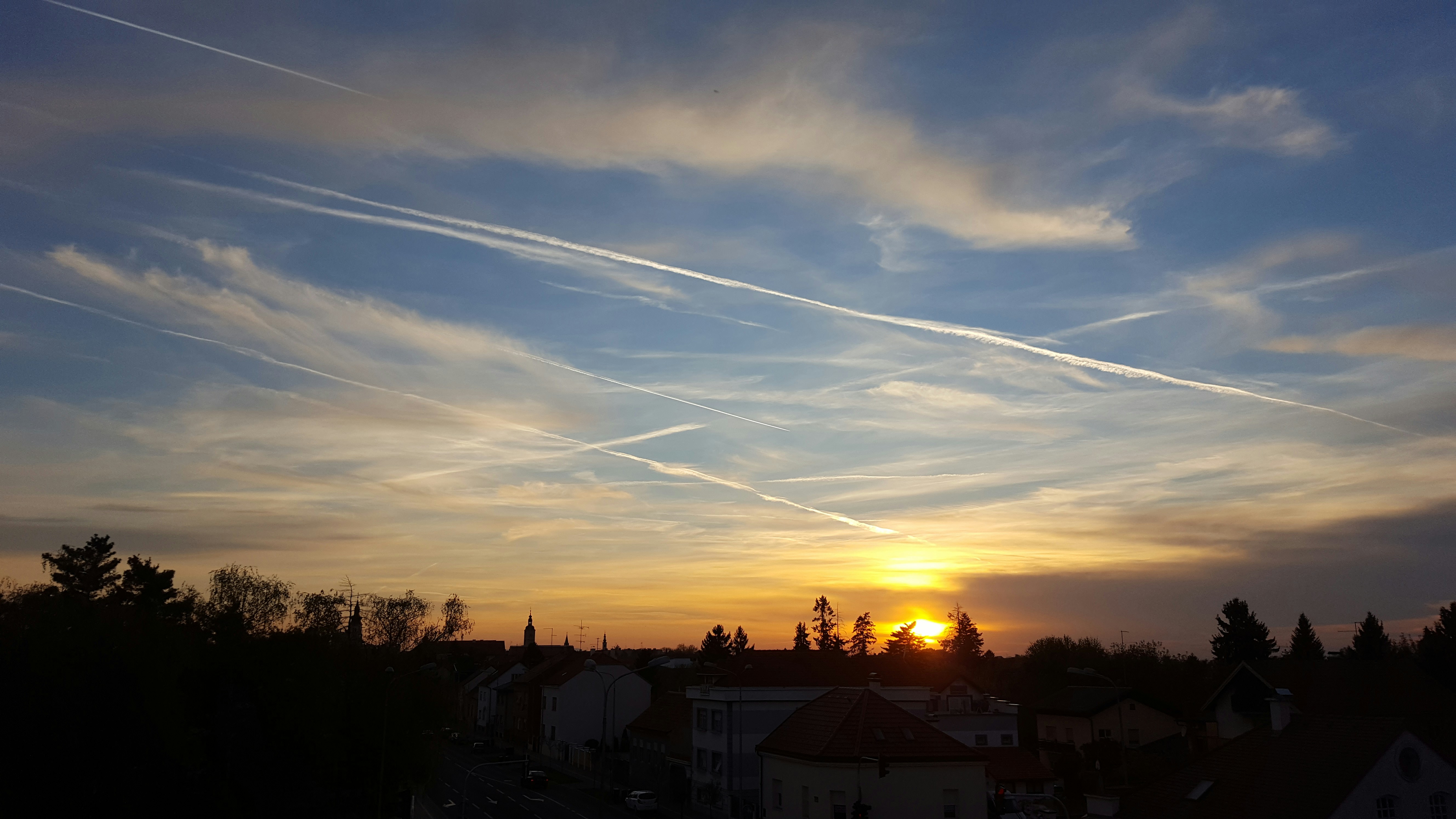 Free Unsplash photo from Martin Oslic