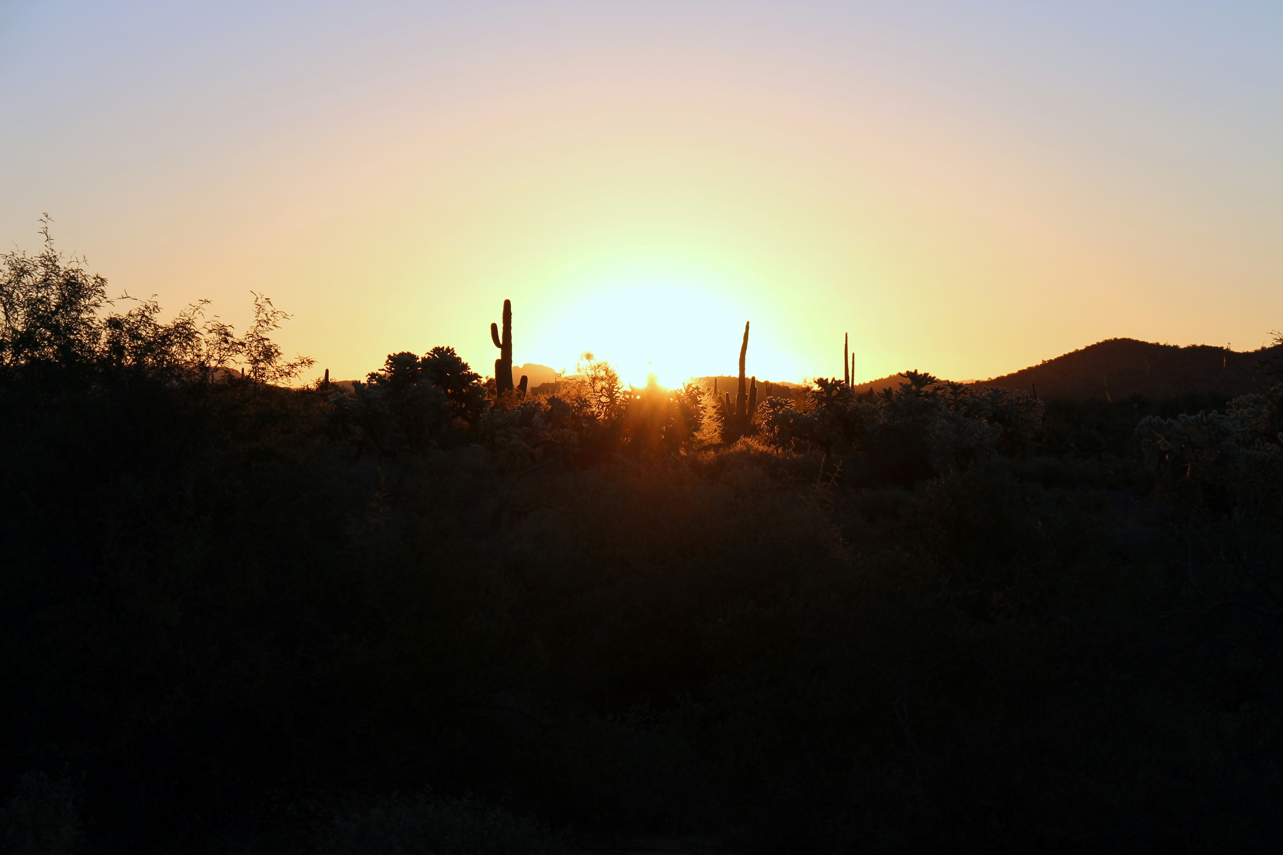 Free Unsplash photo from Kevin Green