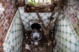 A neglected, dilapidated bathroom with a broken toilet surrounded by dirt and debris. Overgrown plants and vines are visible through a broken window, and the walls are lined with green and white patterned tiles that are cracked and stained.