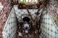 A neglected, dilapidated bathroom with a broken toilet surrounded by dirt and debris. Overgrown plants and vines are visible through a broken window, and the walls are lined with green and white patterned tiles that are cracked and stained.