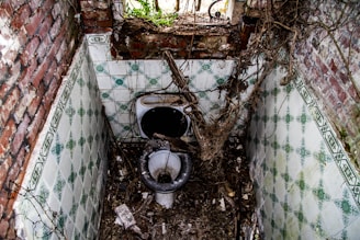 A neglected, dilapidated bathroom with a broken toilet surrounded by dirt and debris. Overgrown plants and vines are visible through a broken window, and the walls are lined with green and white patterned tiles that are cracked and stained.