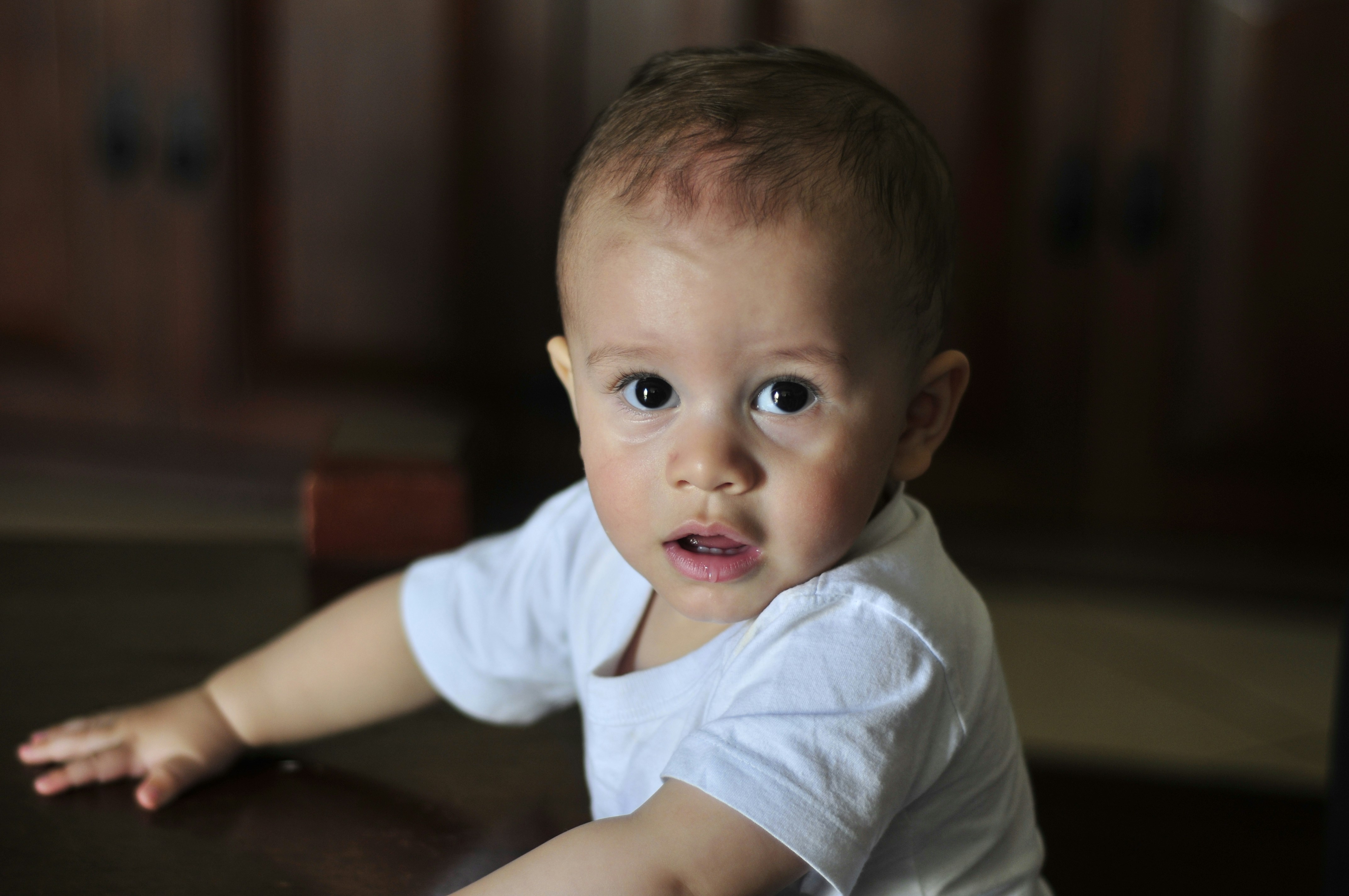 Free Unsplash photo from Danilo Marcondes Vieira